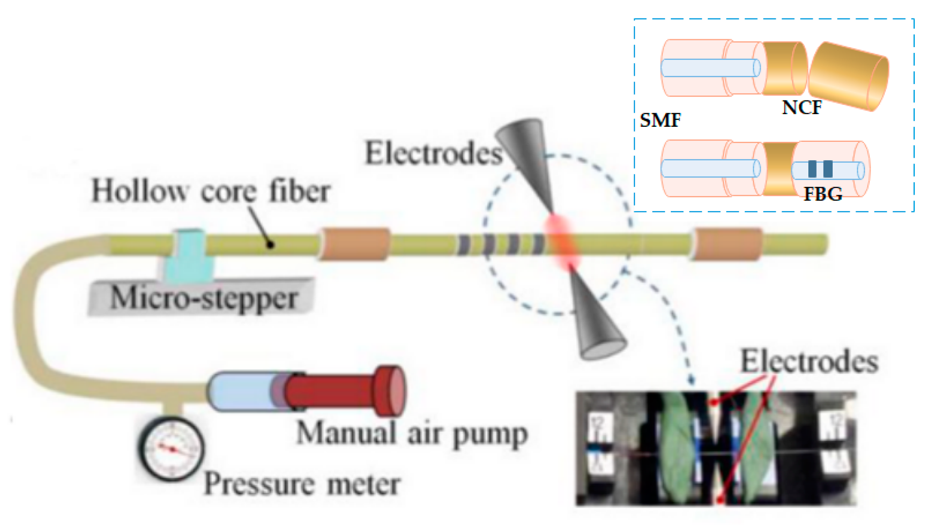 Biosensors 11 00058 g011