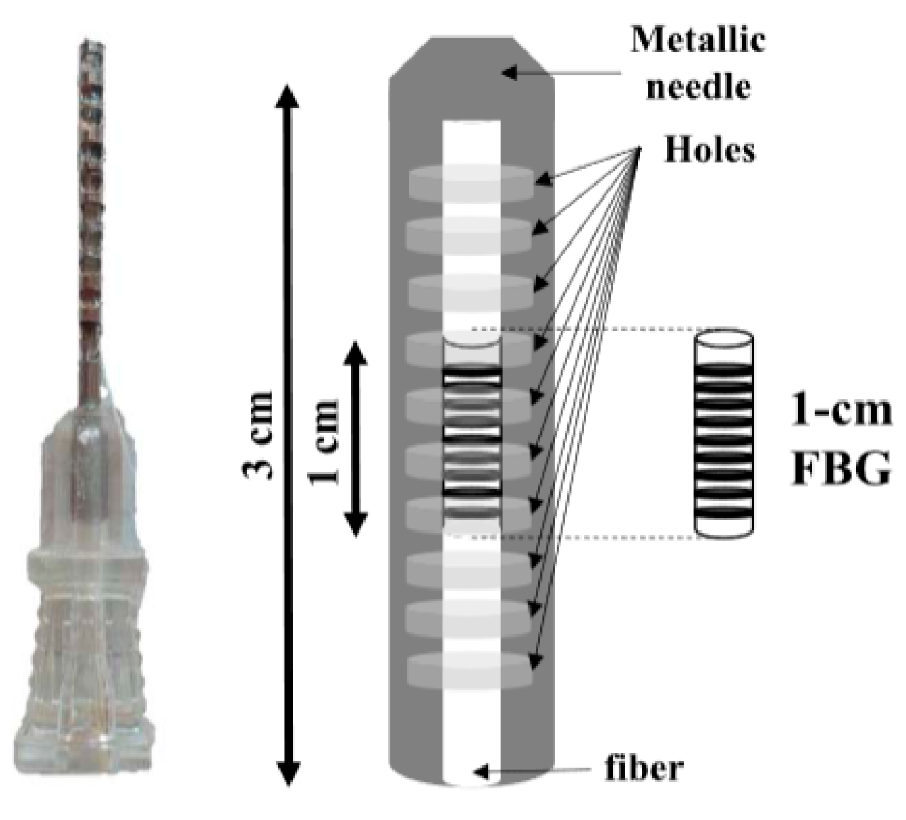Biosensors 11 00058 g012