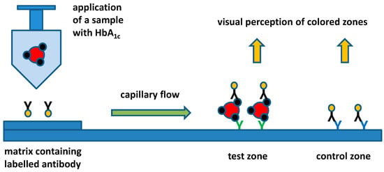 Biosensors Free Full Text Glycated Hemoglobin And Methods For Its Point Of Care Testing Html