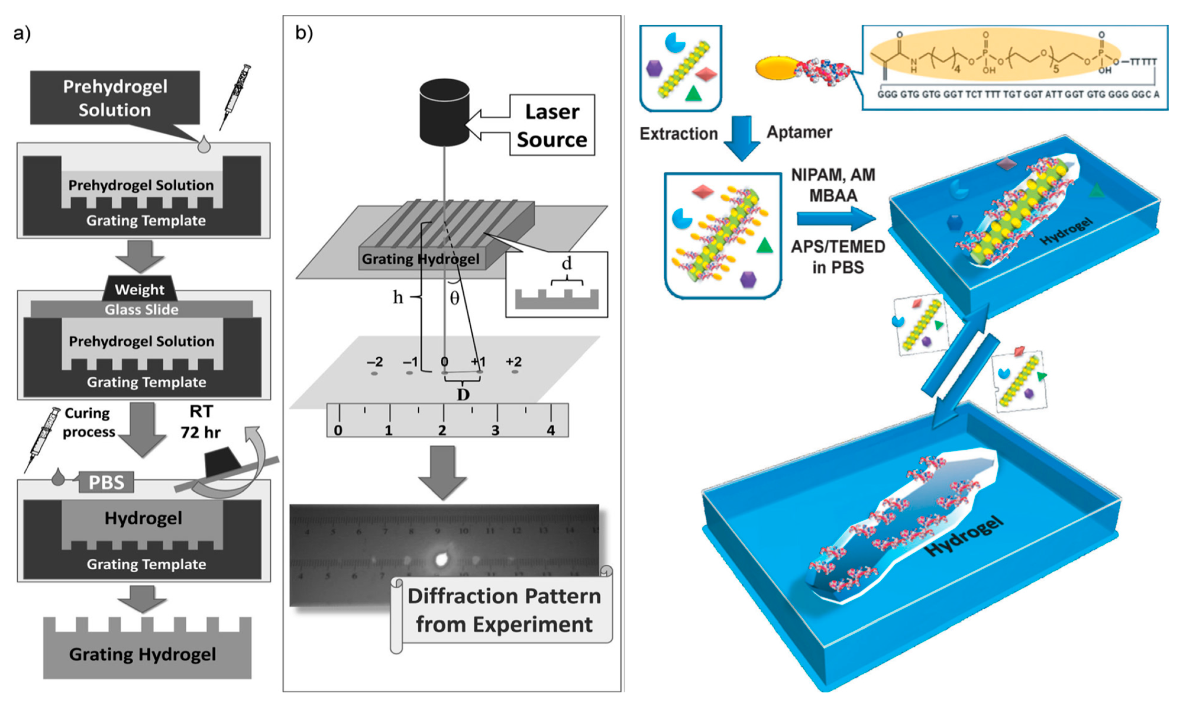 Biosensors 11 00089 g004