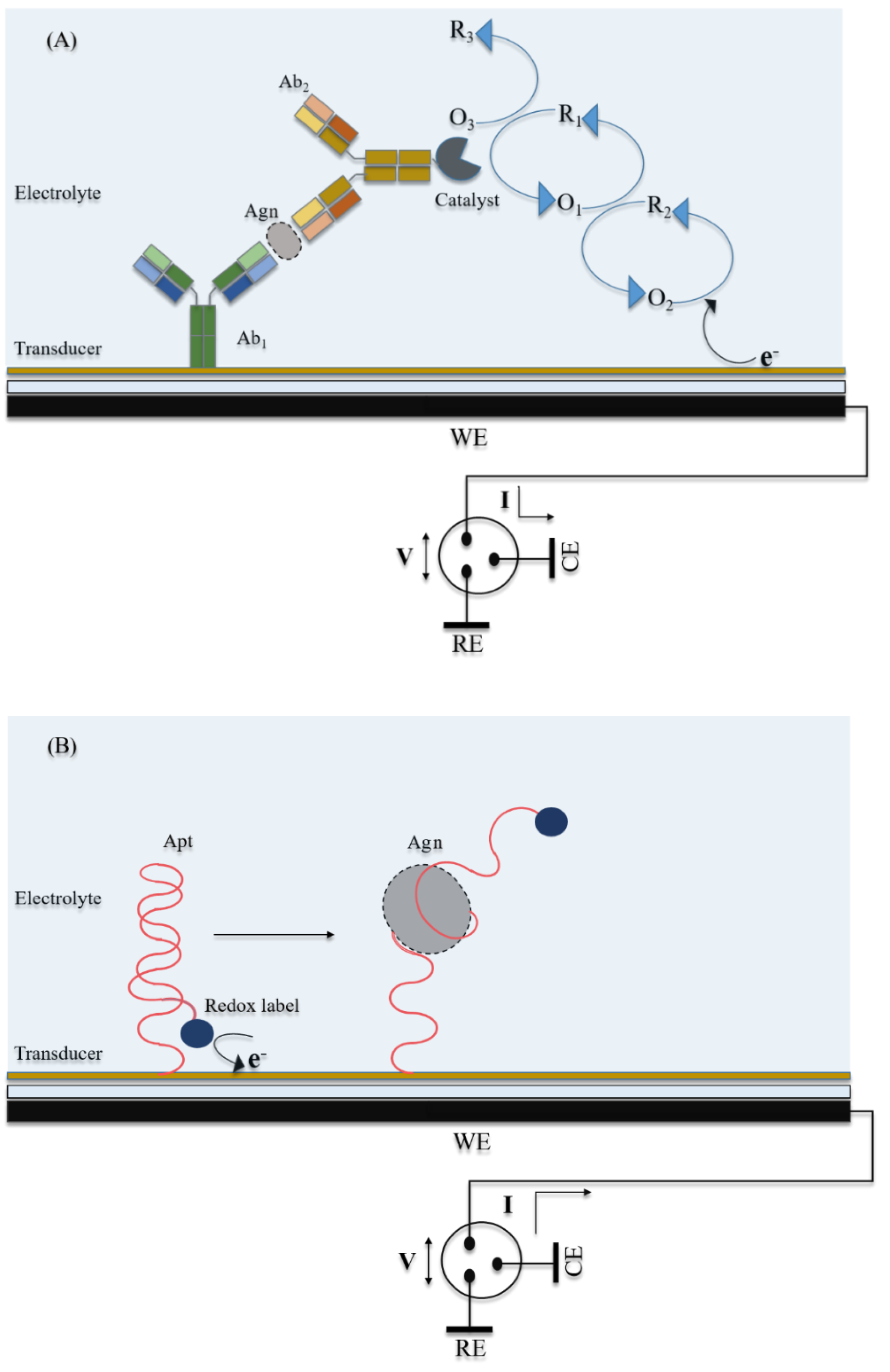 Biosensors | Free Full-Text | Electrochemical Biosensors for Cytokine  Profiling: Recent Advancements and Possibilities in the Near Future