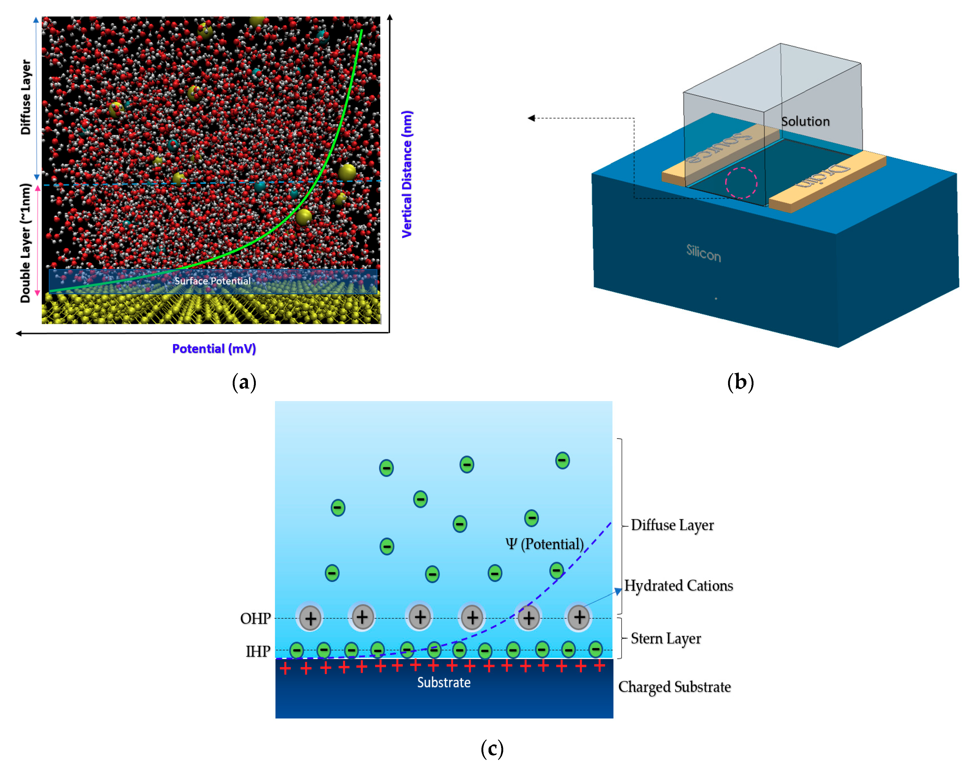 Biosensors 11 00103 g002