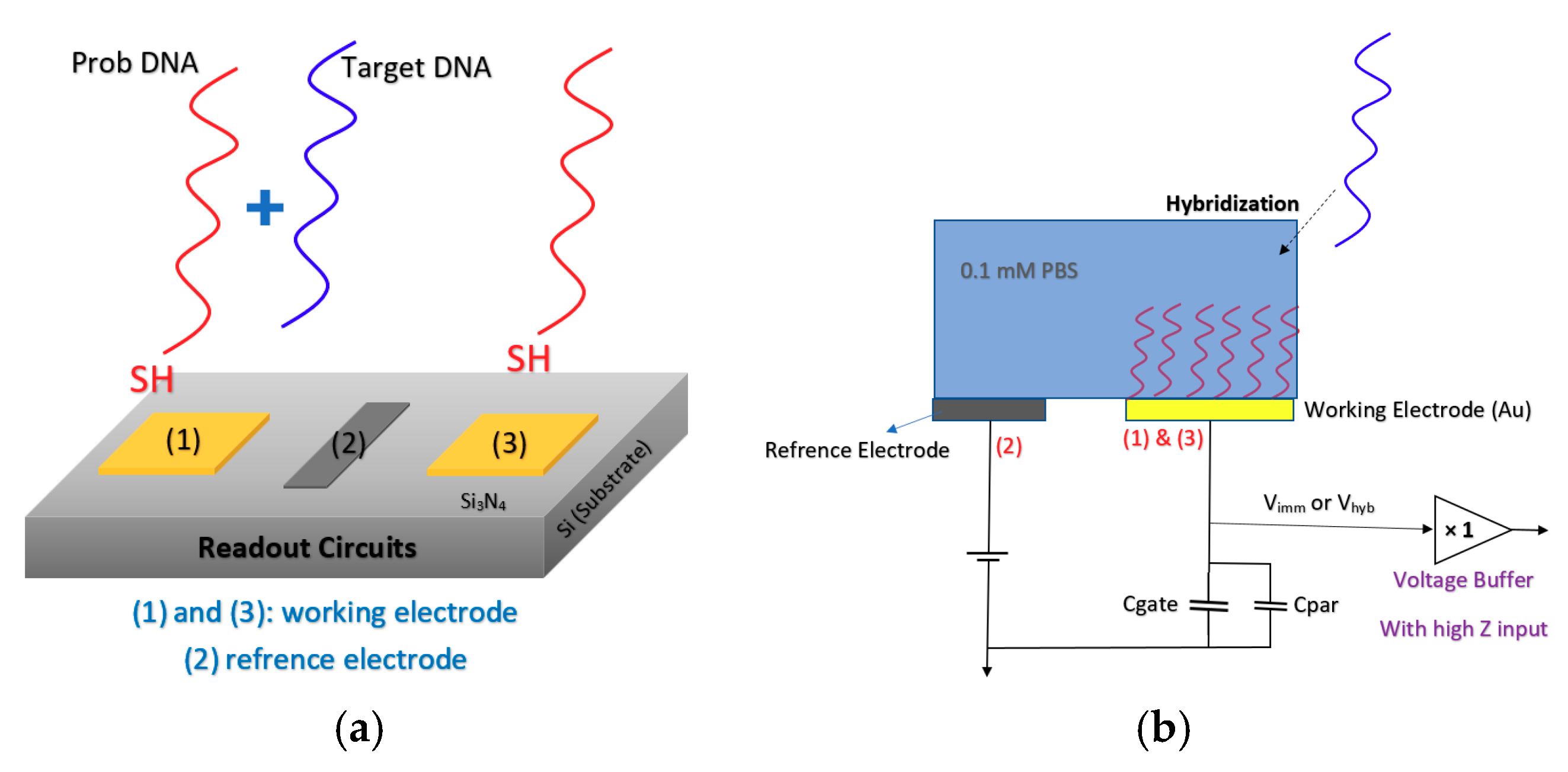 Biosensors 11 00103 g014
