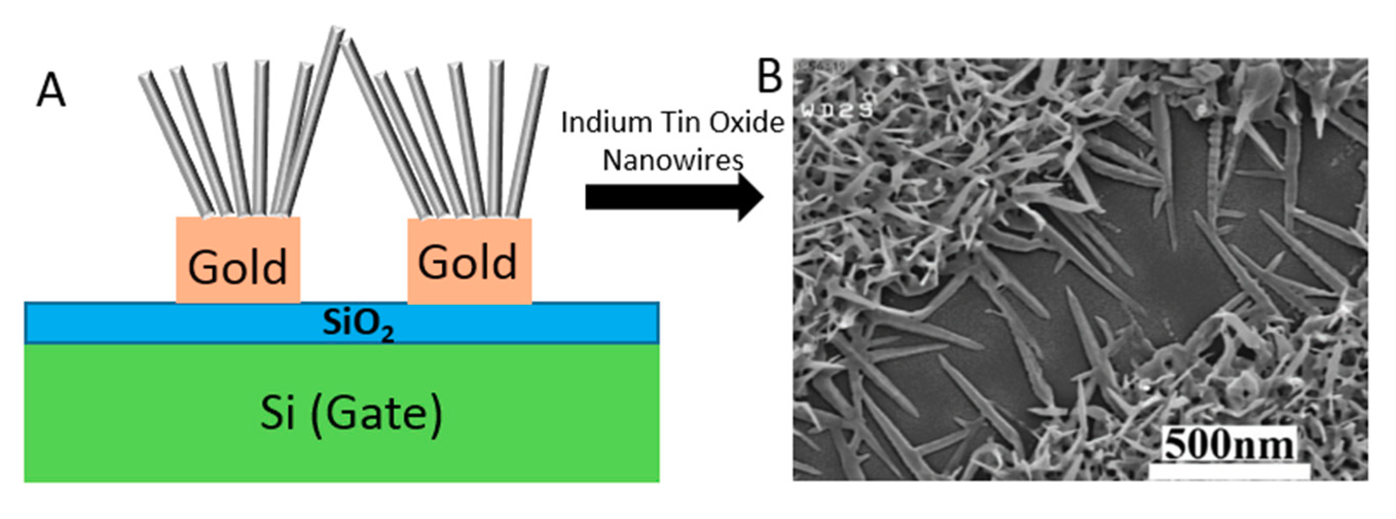 Biosensors 11 00103 g019