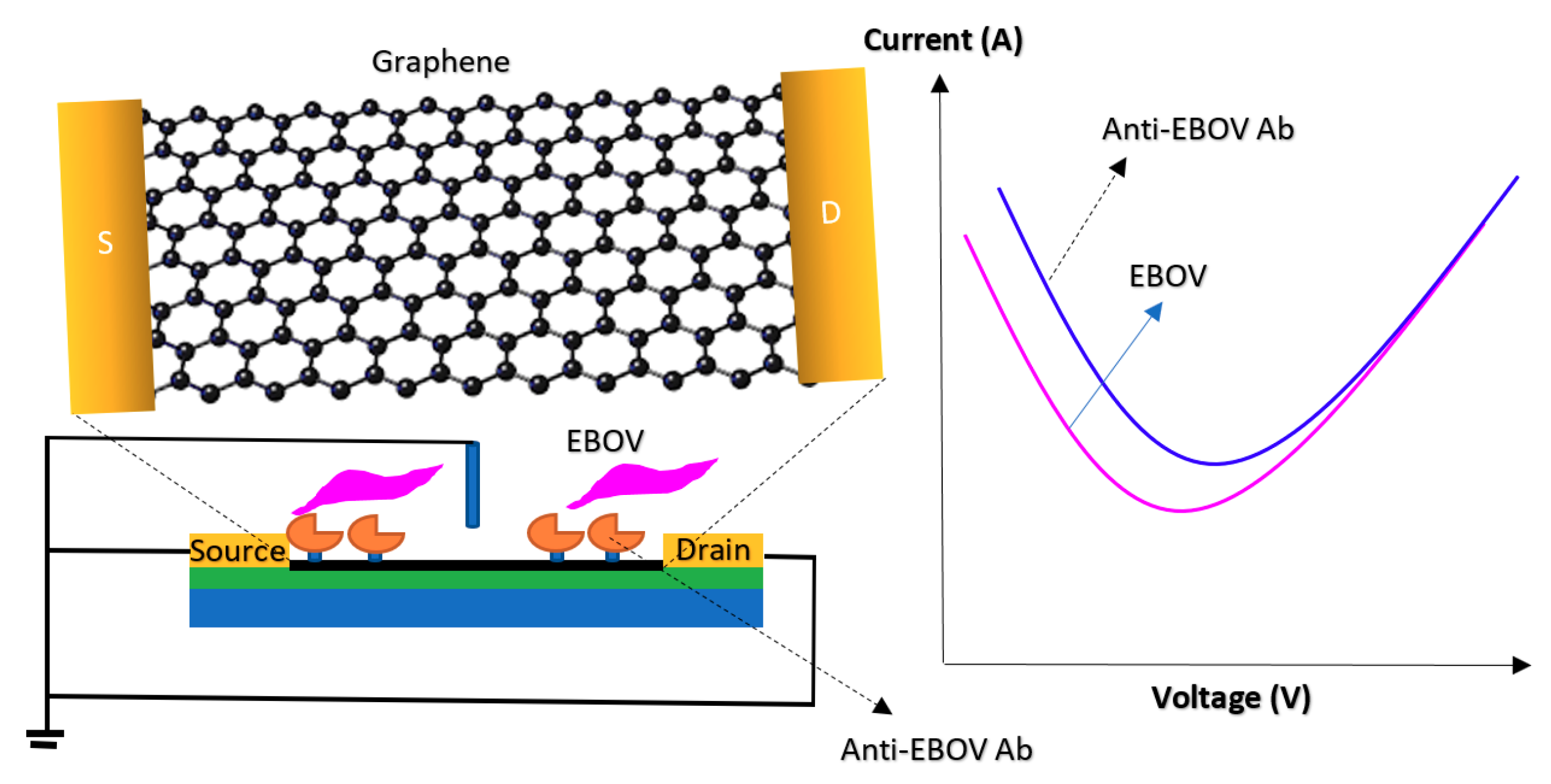 Biosensors 11 00103 g021