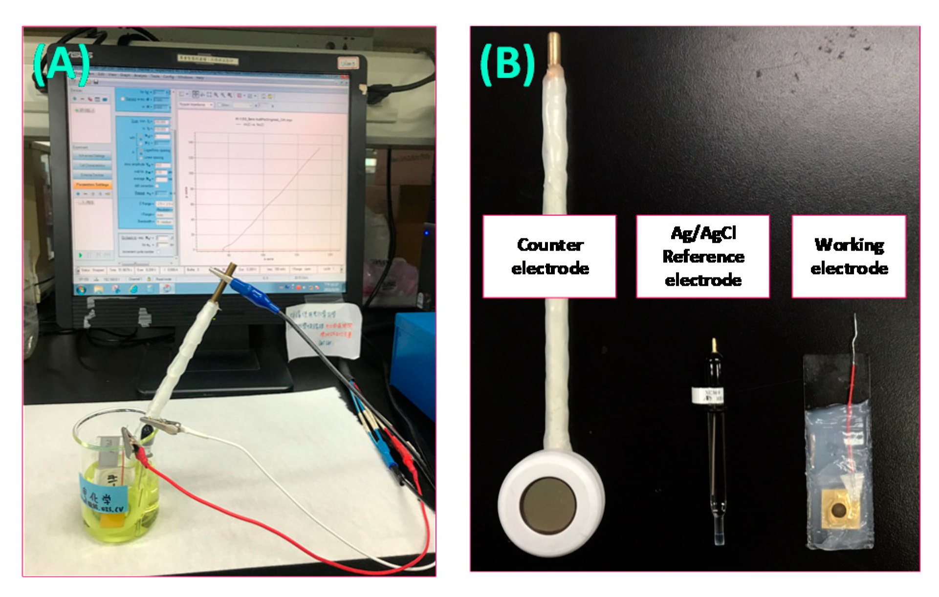 Biosensors 11 00109 g001 Biosensors 11 00109 g001