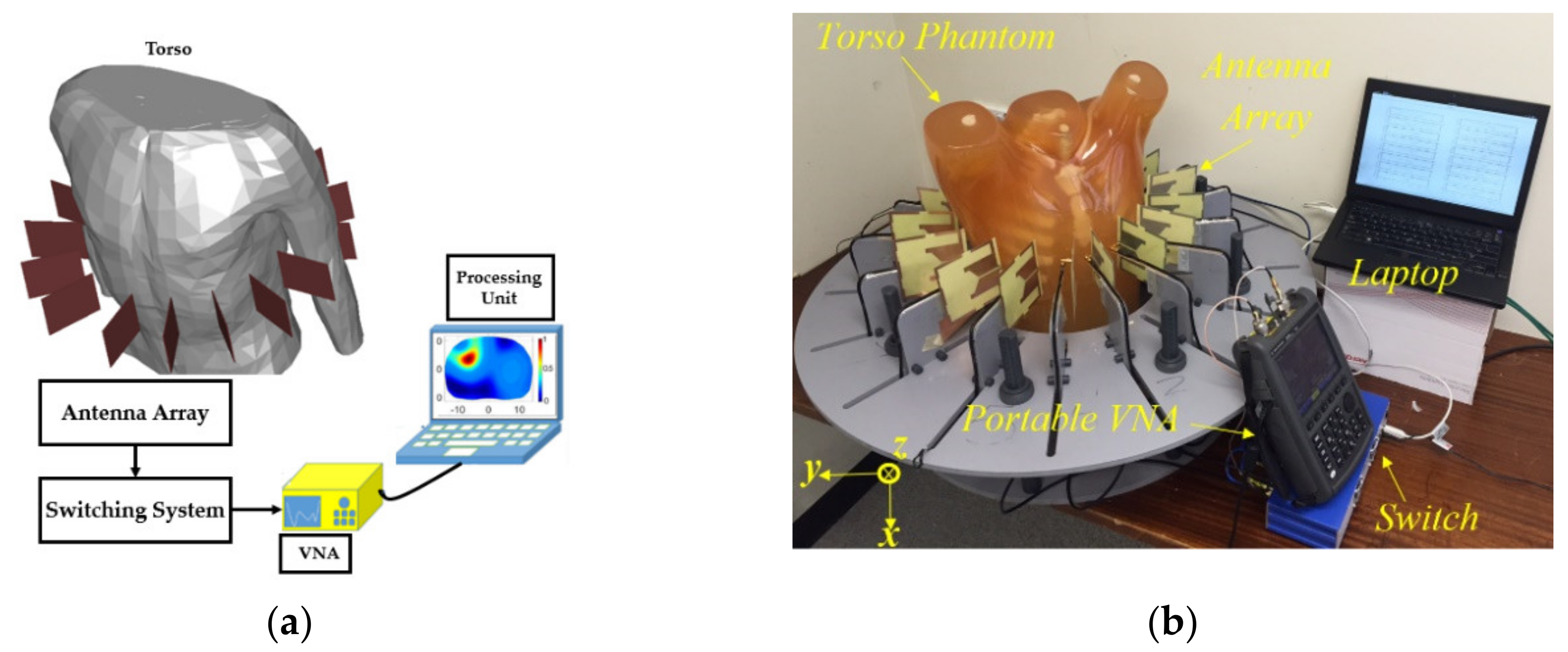 Biosensors 11 00135 g003