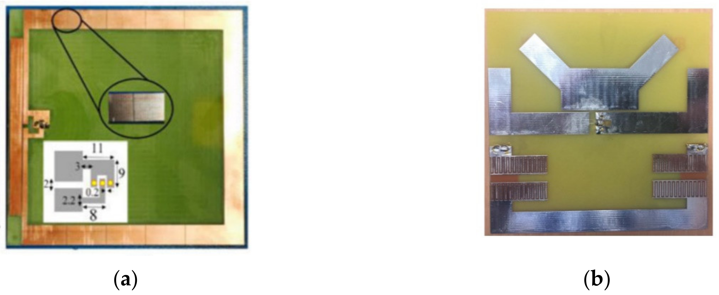 Biosensors 11 00135 g014