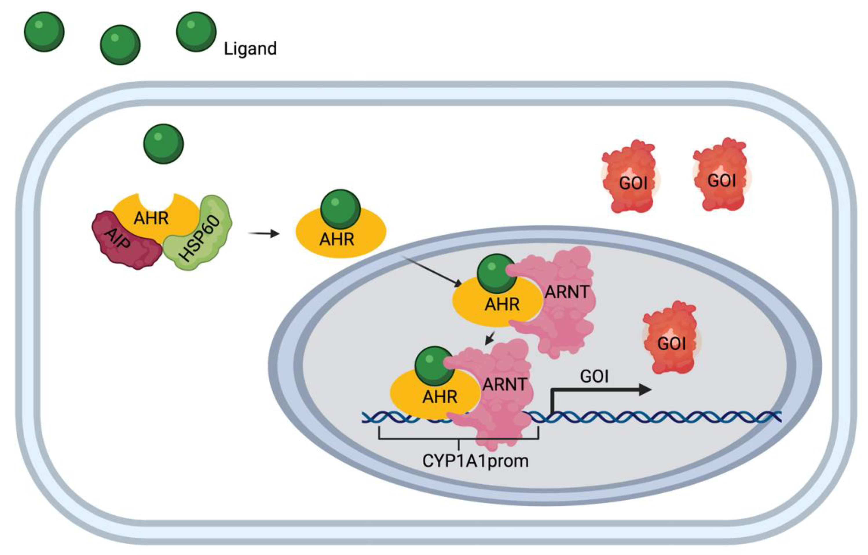 Biosensors 11 00137 g001