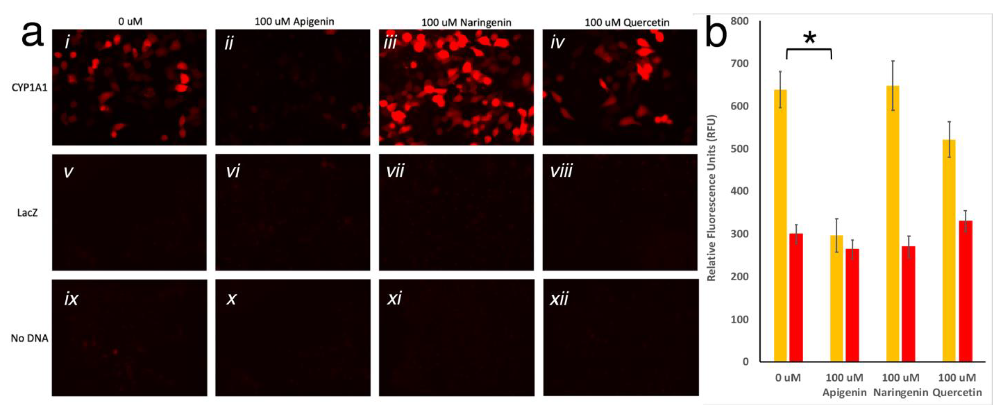 Biosensors 11 00137 g003
