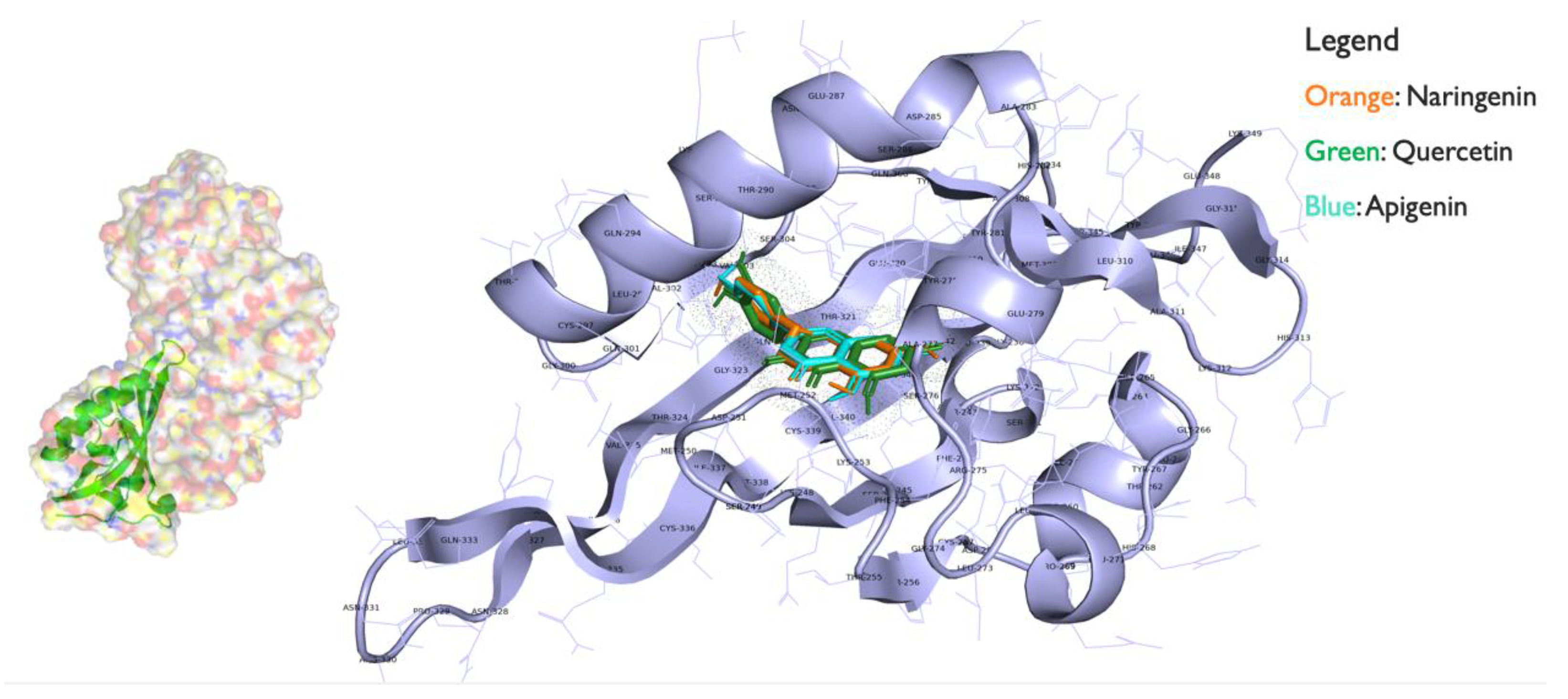 Biosensors 11 00137 g004