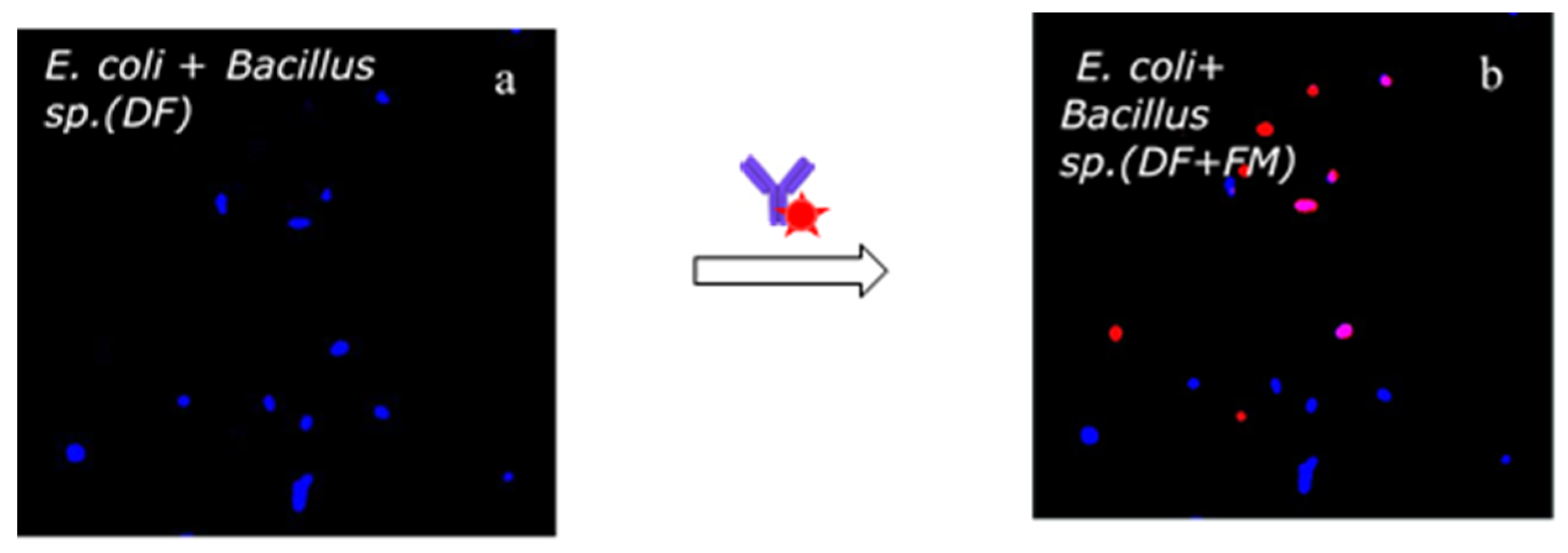 Biosensors 11 00142 g007
