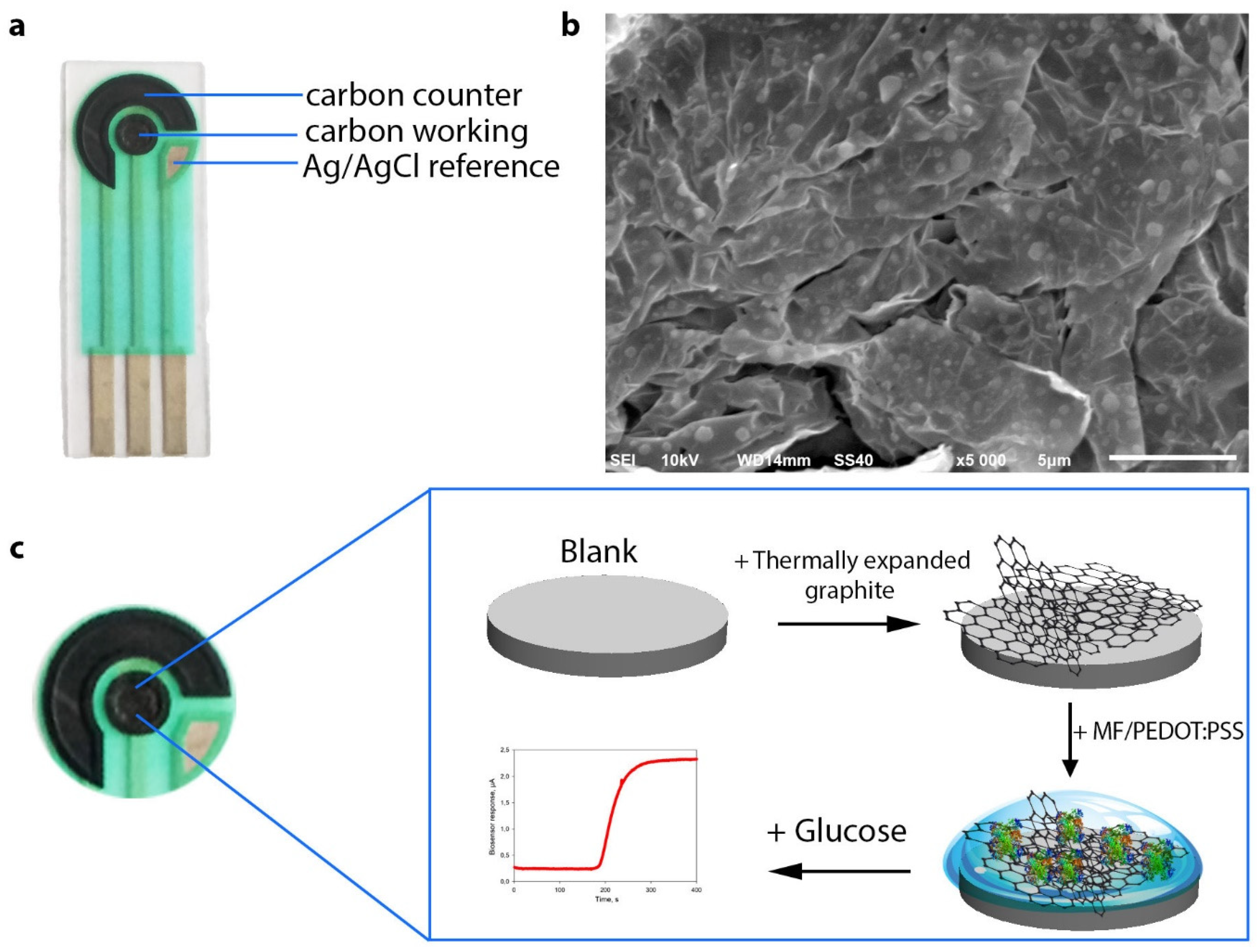 Biosensors 11 00144 g001