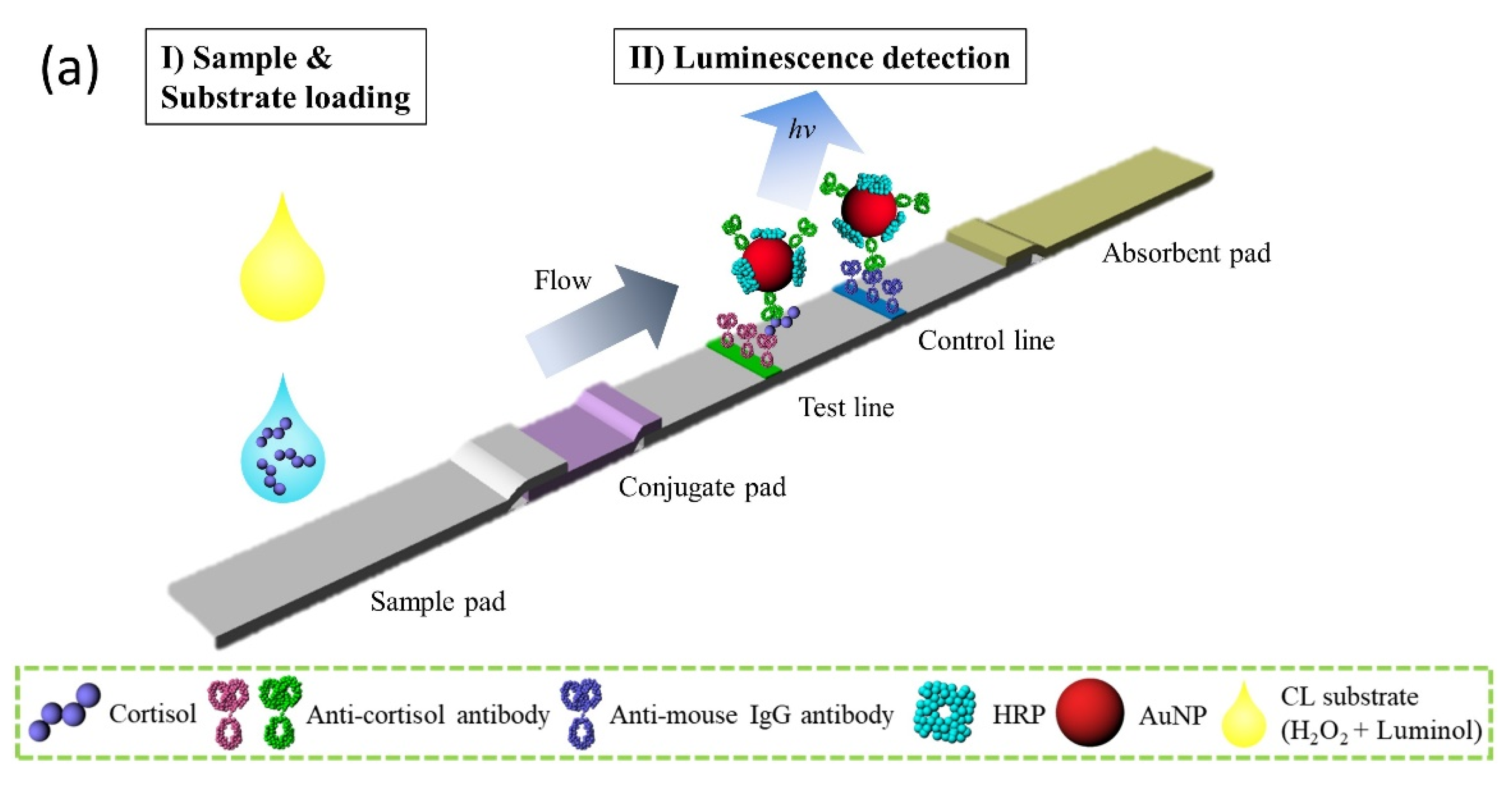 Biosensors Free Full Text Portable Chemiluminescence Based Lateral Flow Assay Platform For The Detection Of Cortisol In Human Serum Html