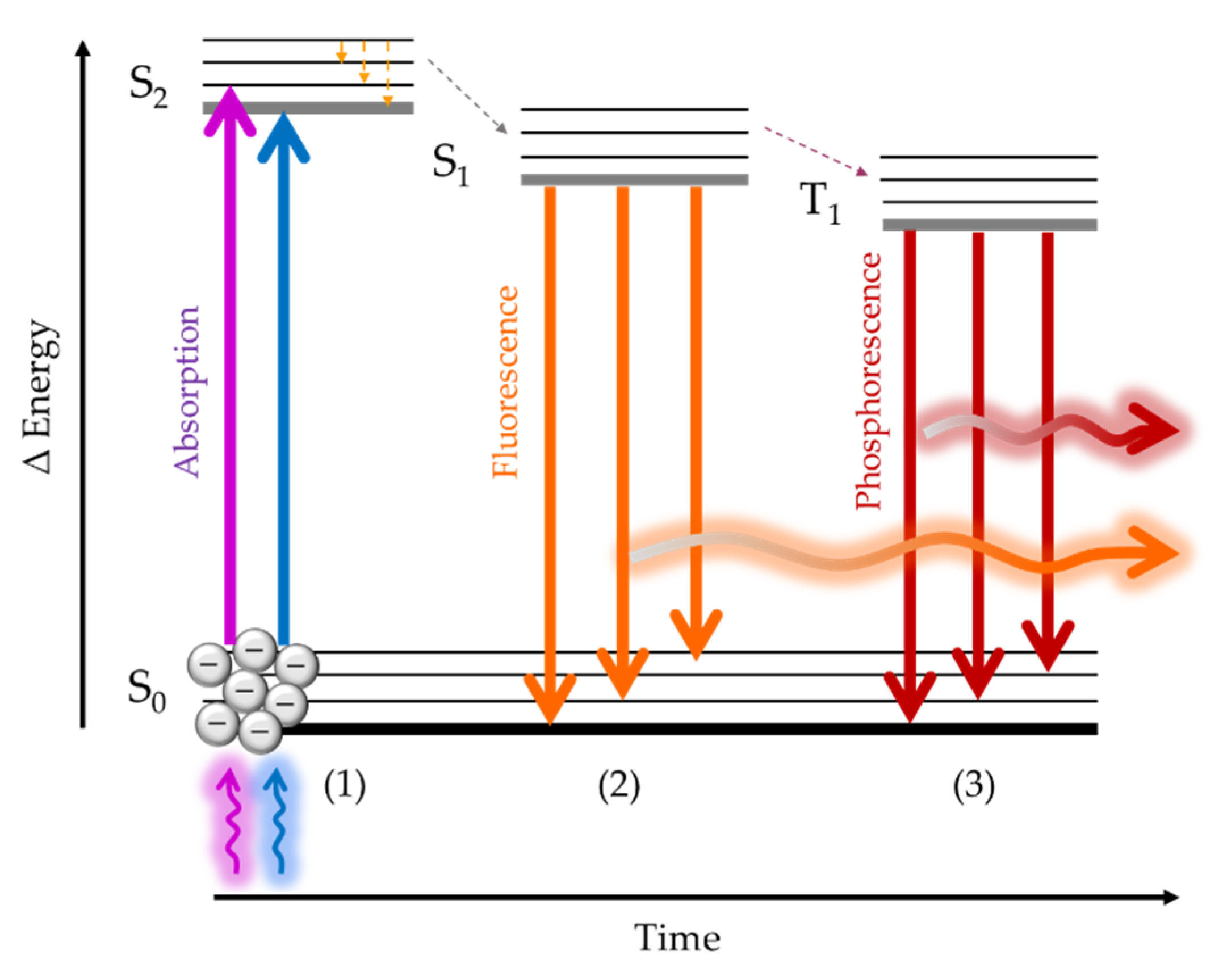 Biosensors 11 00197 g002