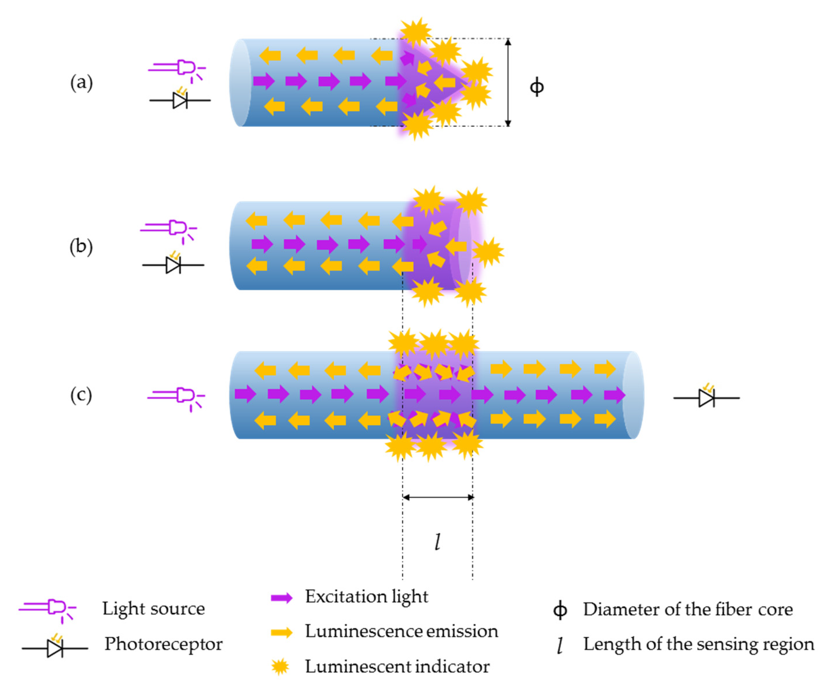 Biosensors 11 00197 g007