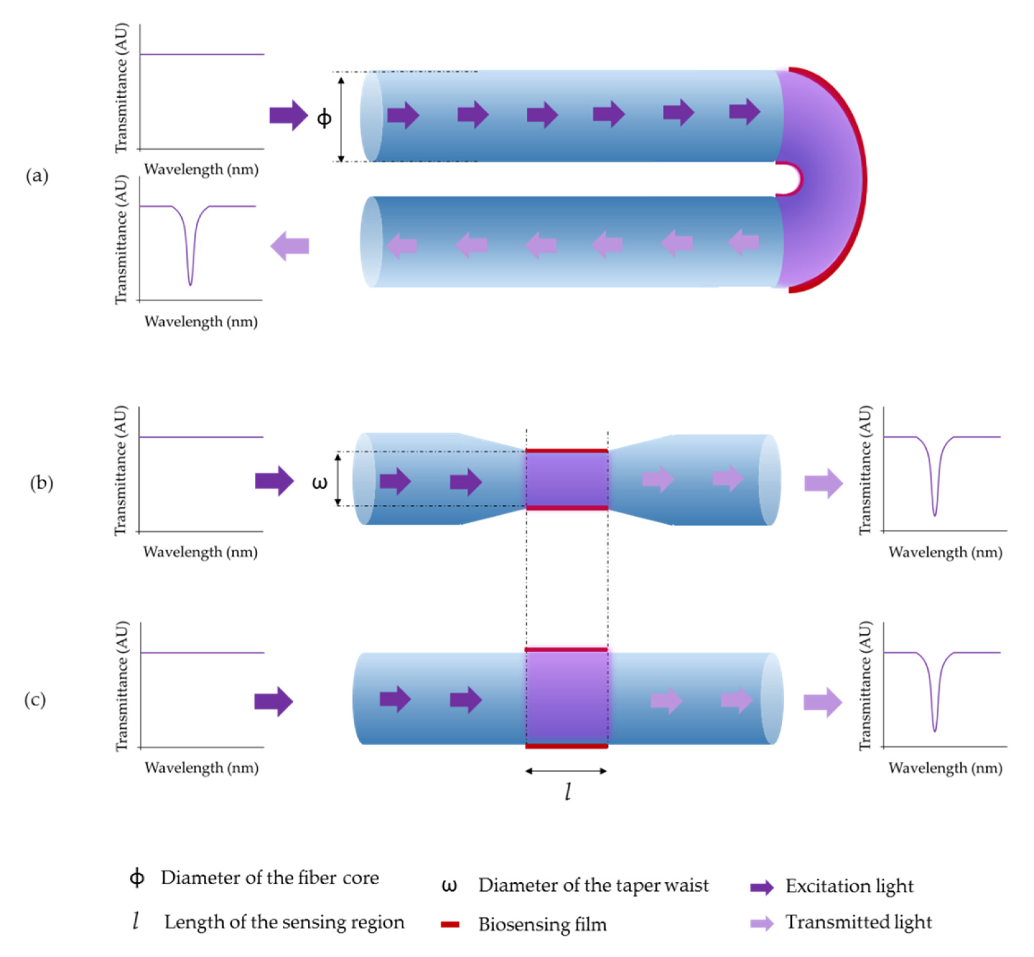 Biosensors 11 00197 g011