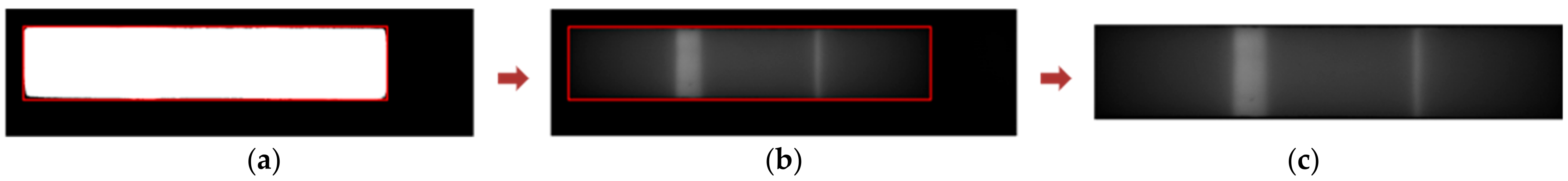 Biosensors 11 00211 g007