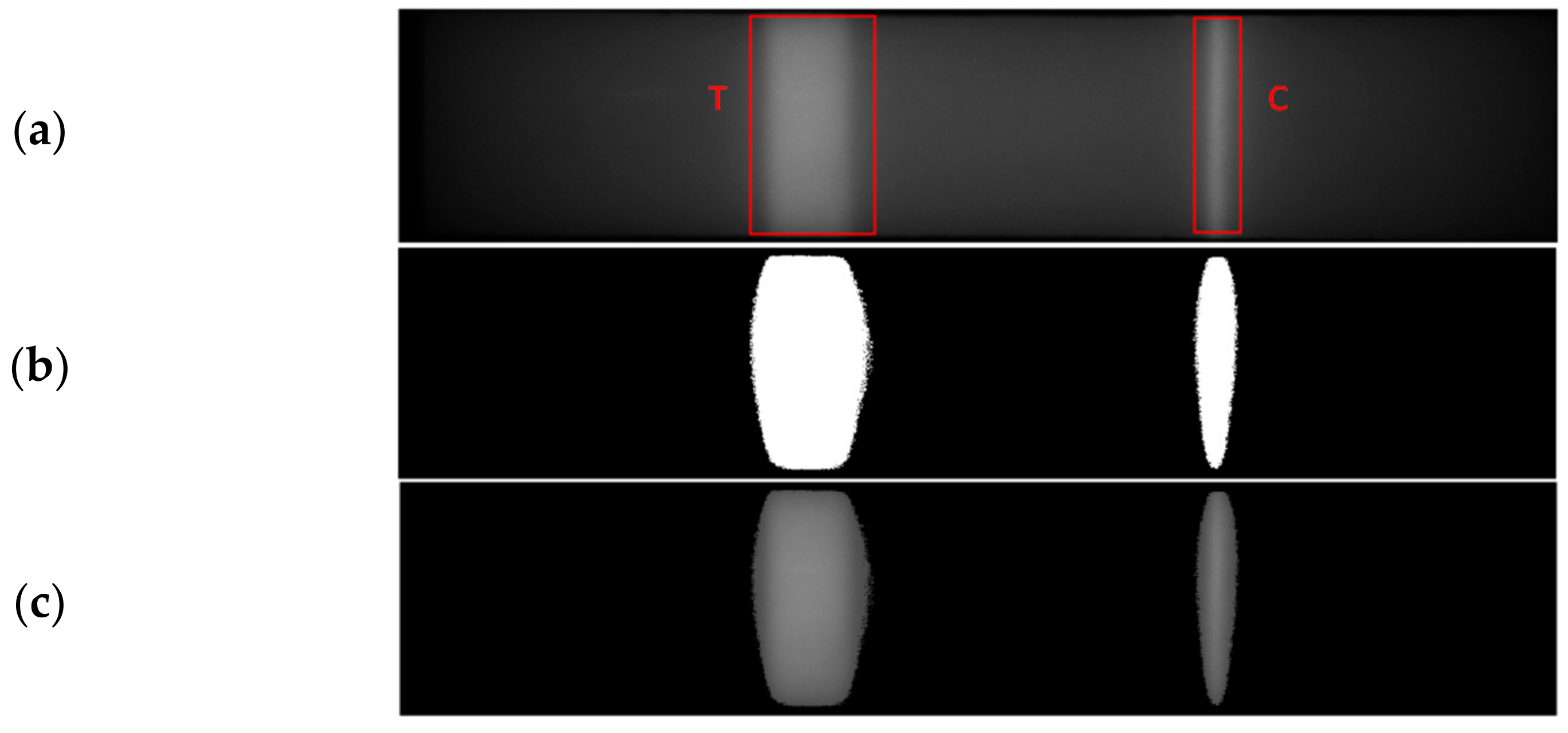 Biosensors 11 00211 g009