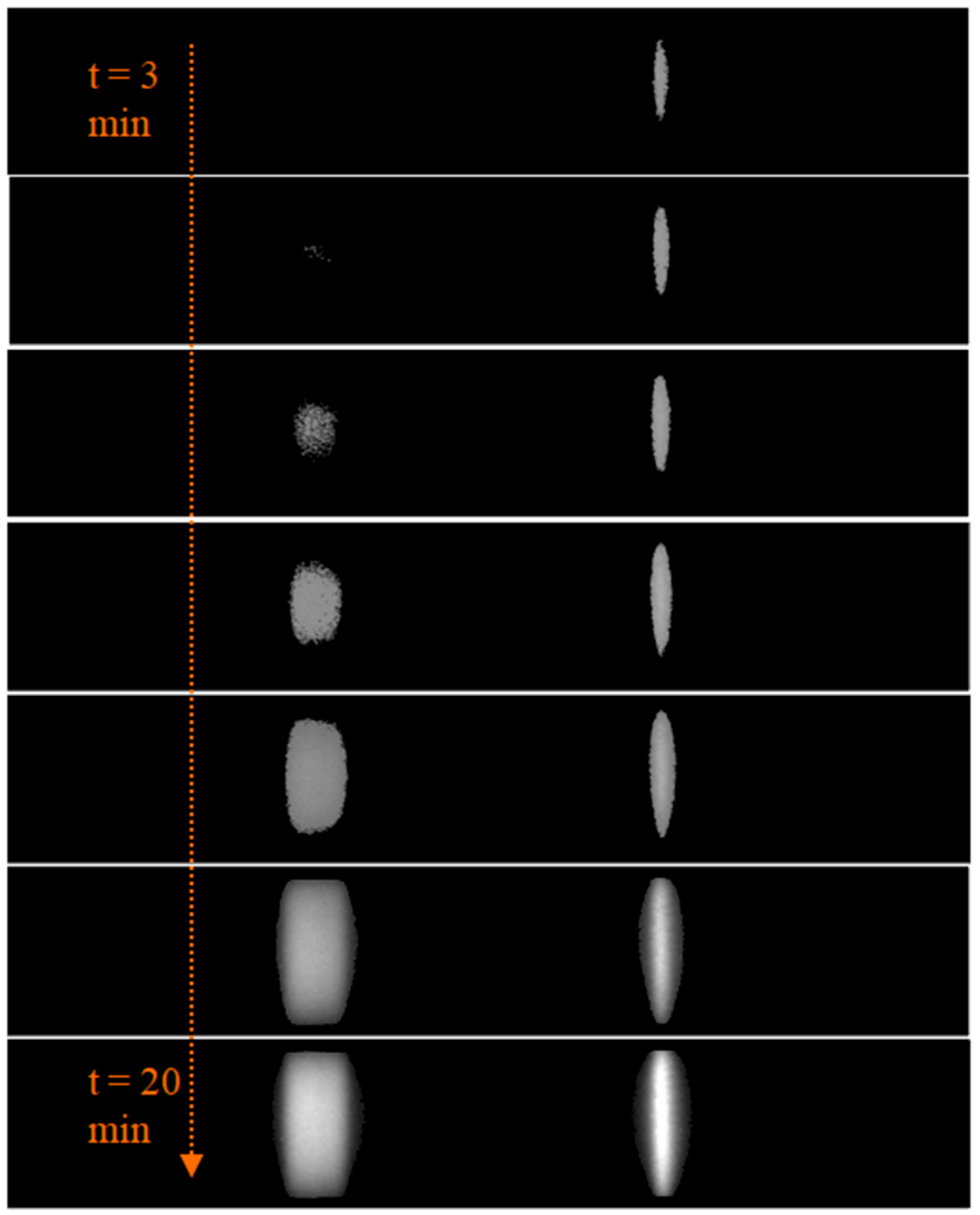 Biosensors 11 00211 g010