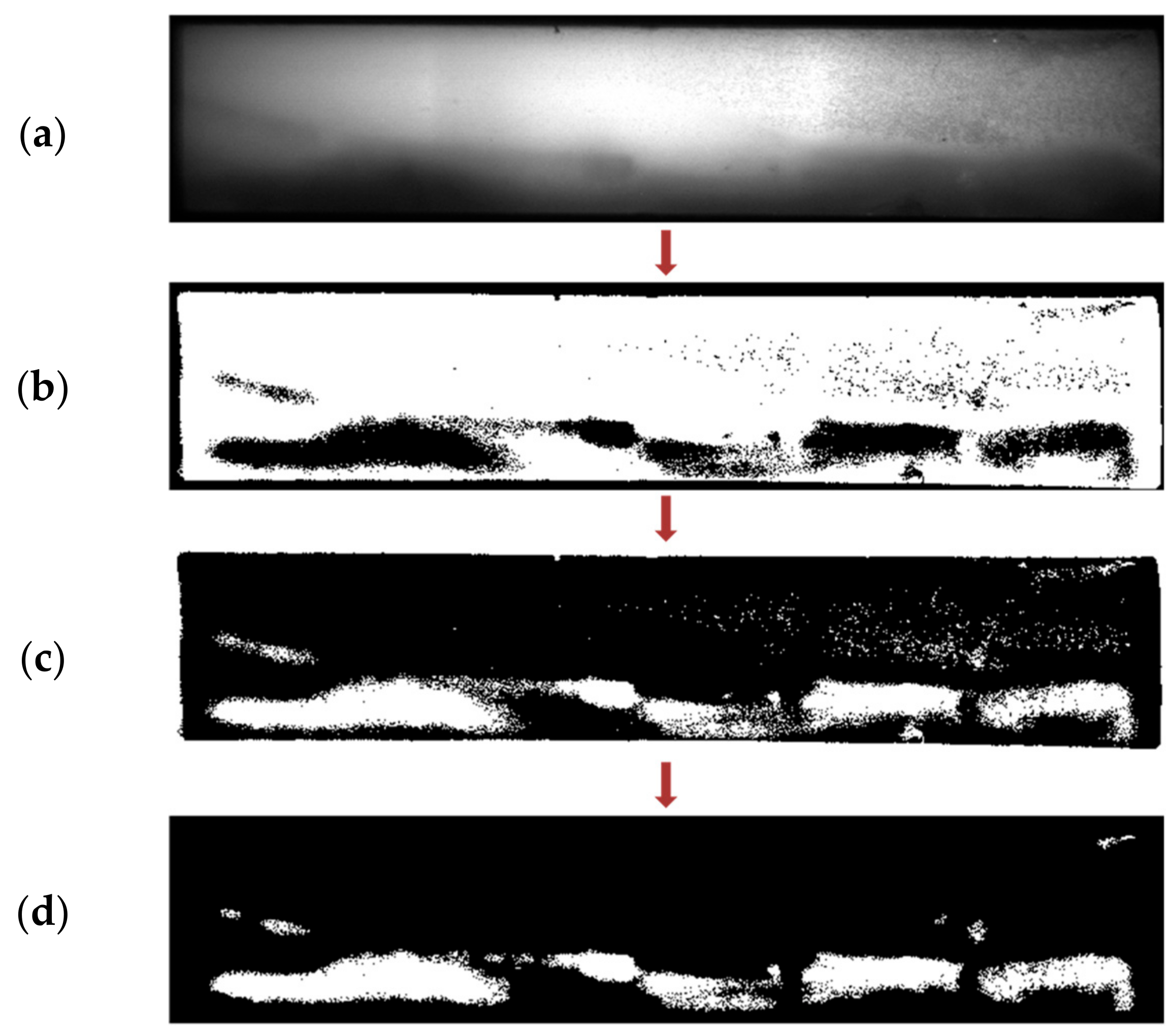 Biosensors 11 00211 g012