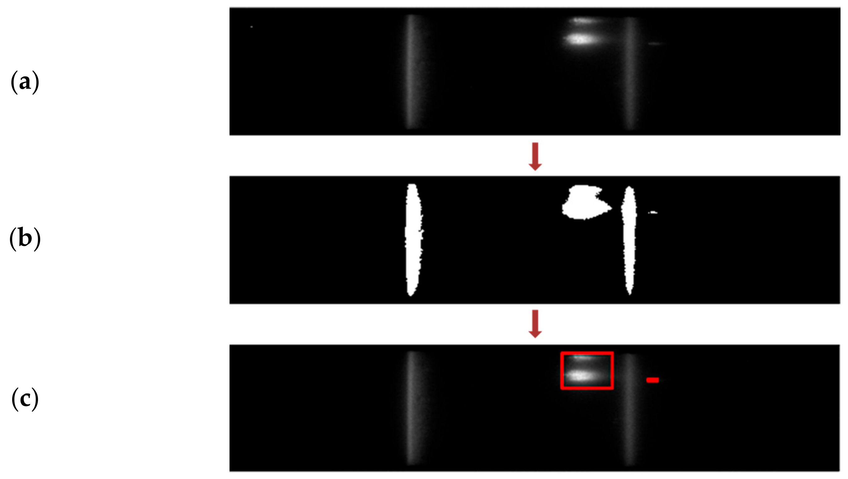 Biosensors 11 00211 g013