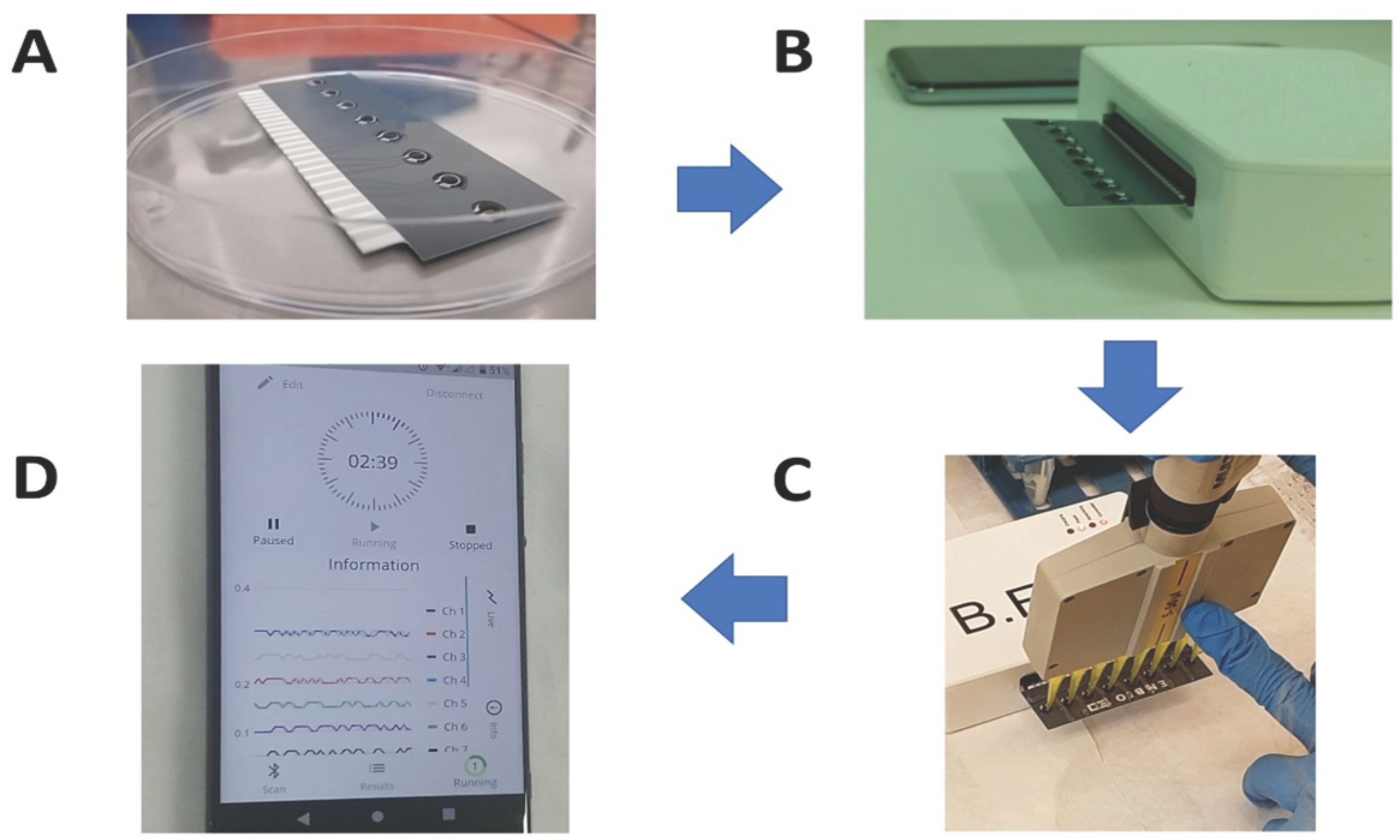 Biosensors 11 00224 g002