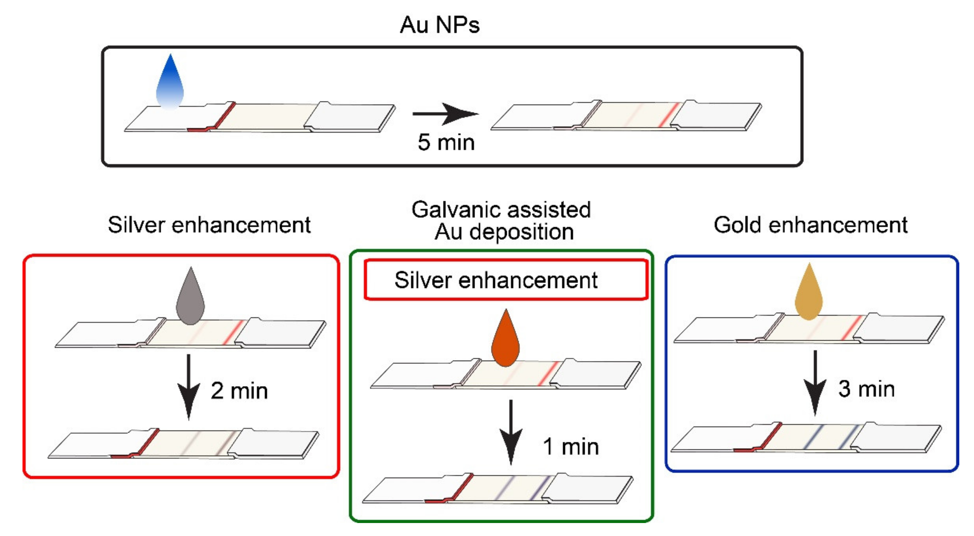 Biosensors Free Full Text Comparative Study Of In Situ Techniques To Enlarge Gold