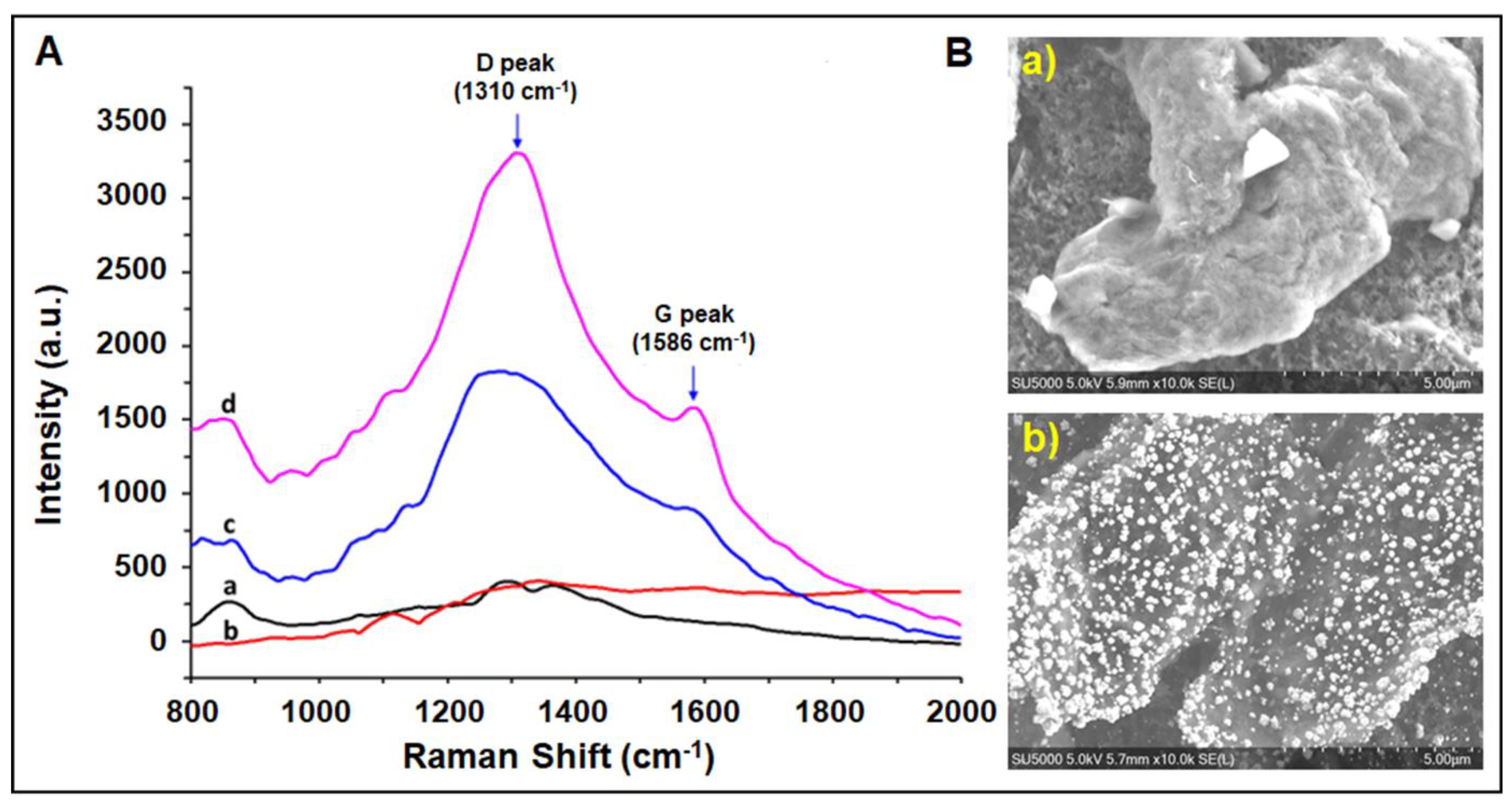 Biosensors 11 00236 g001