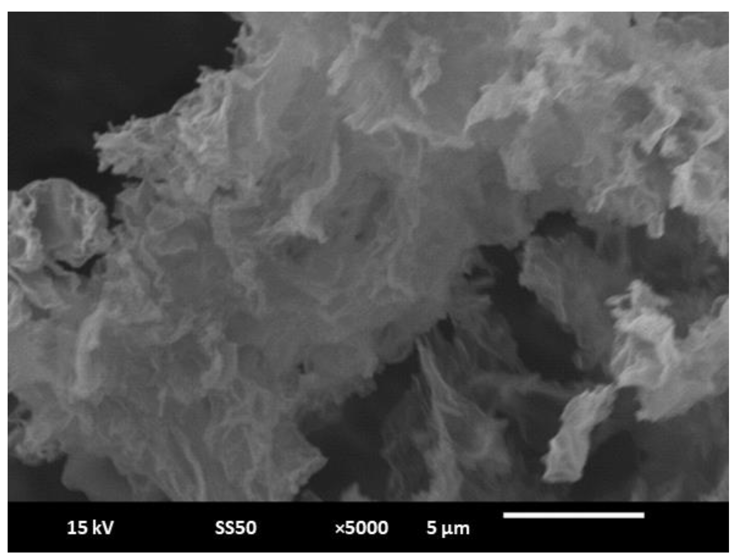 Biosensors 11 00236 g002