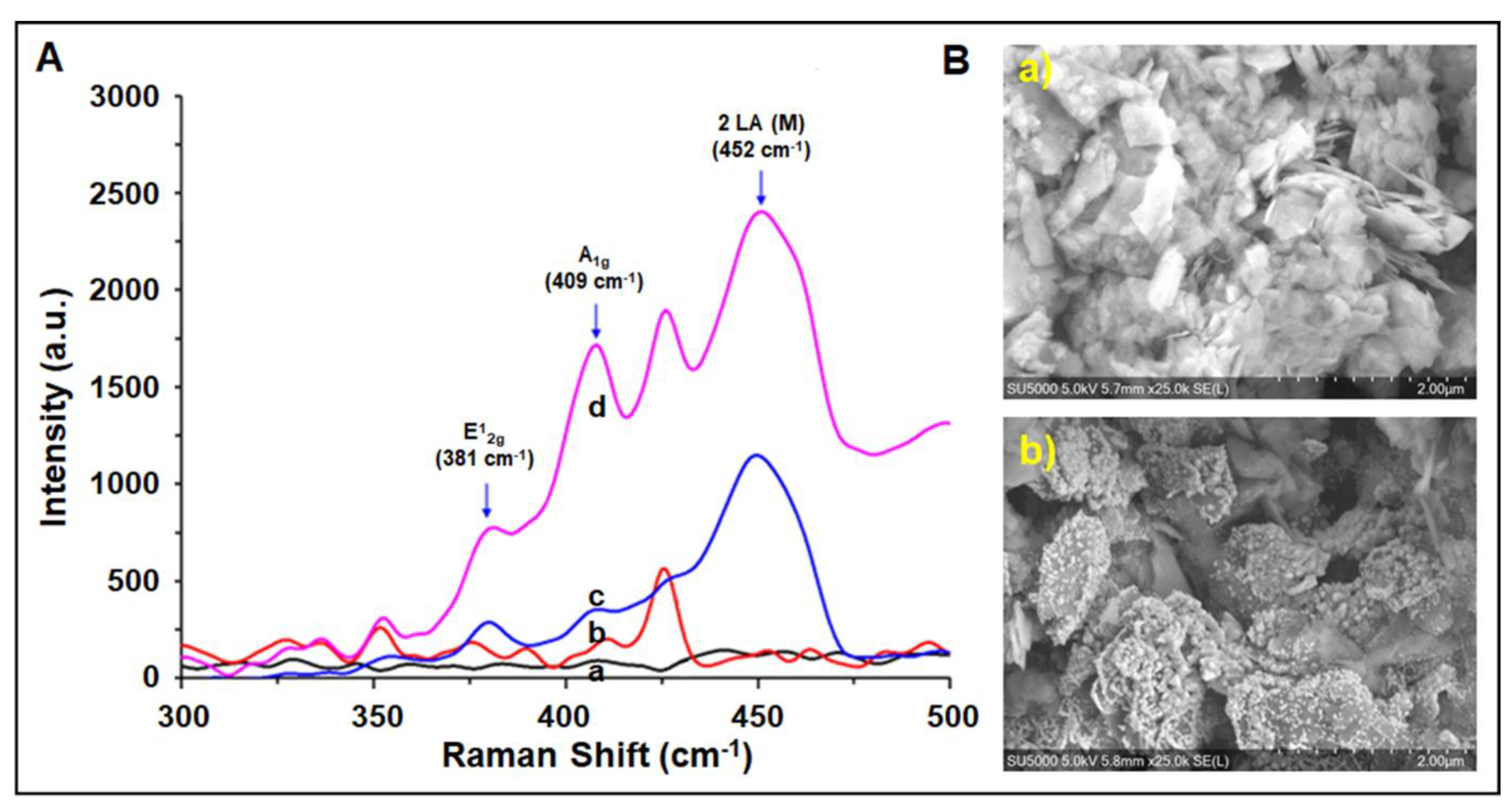 Biosensors 11 00236 g005