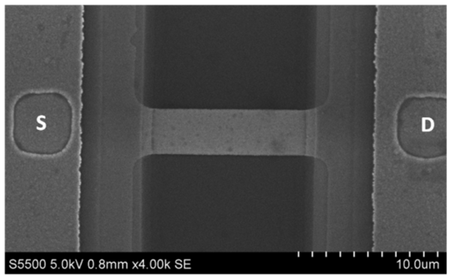 Biosensors 11 00237 g002