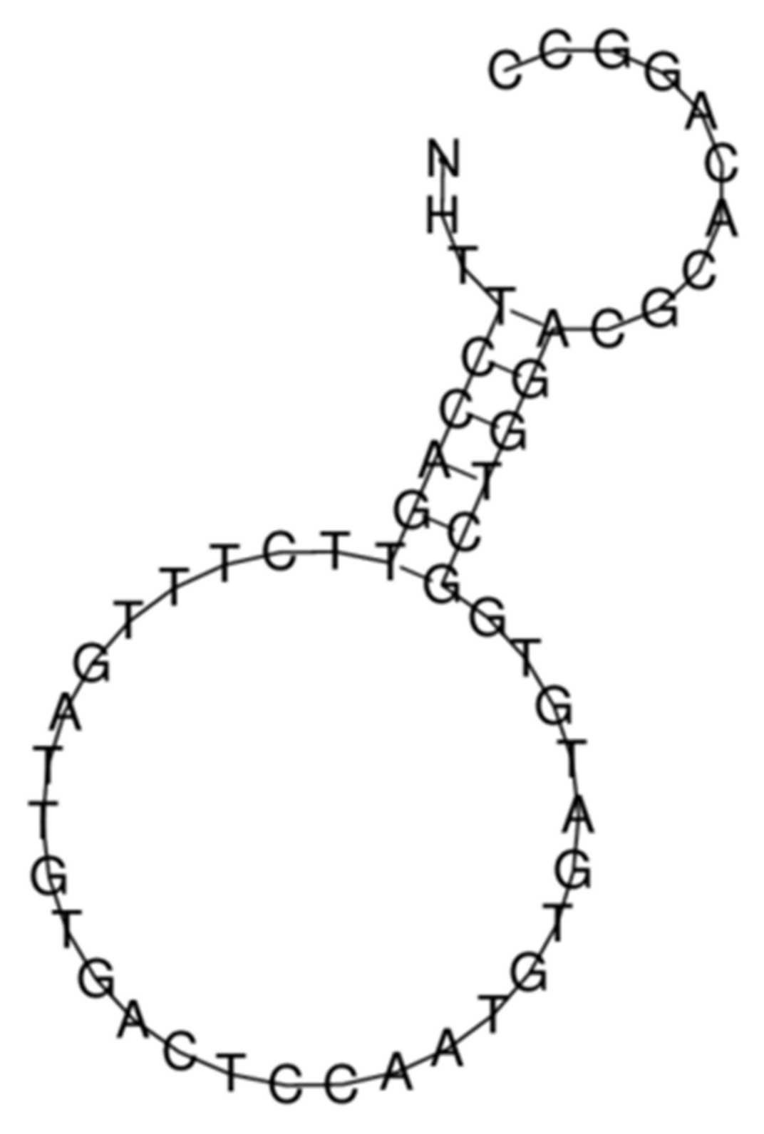 Biosensors 11 00237 g004