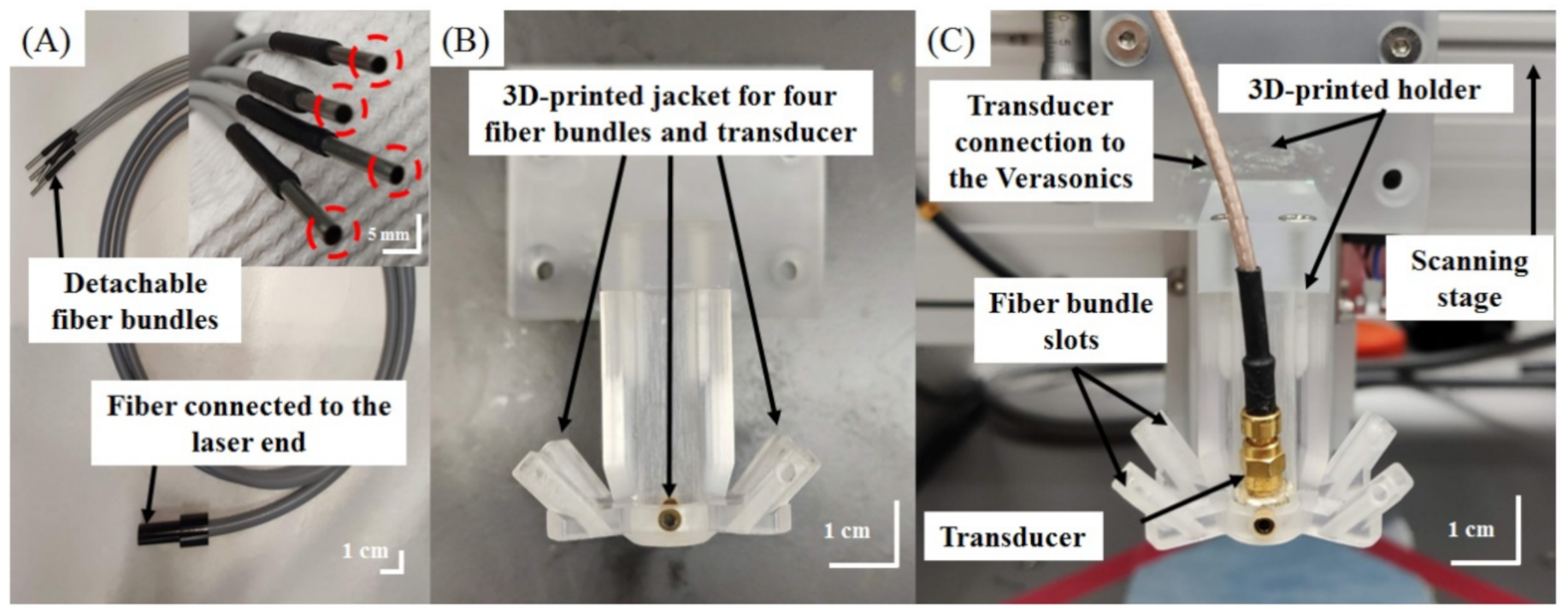 Biosensors 11 00262 g003