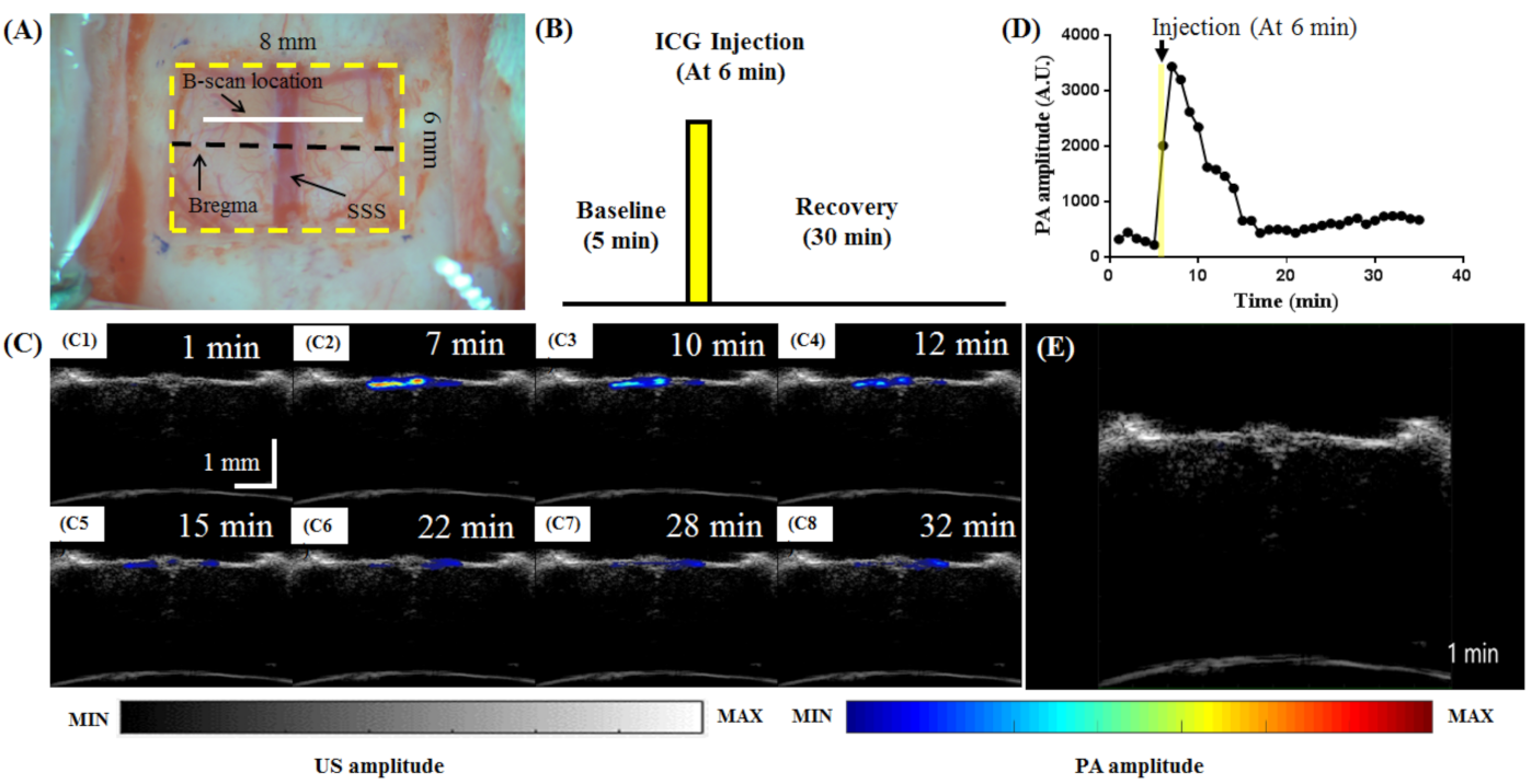 Biosensors 11 00262 g012