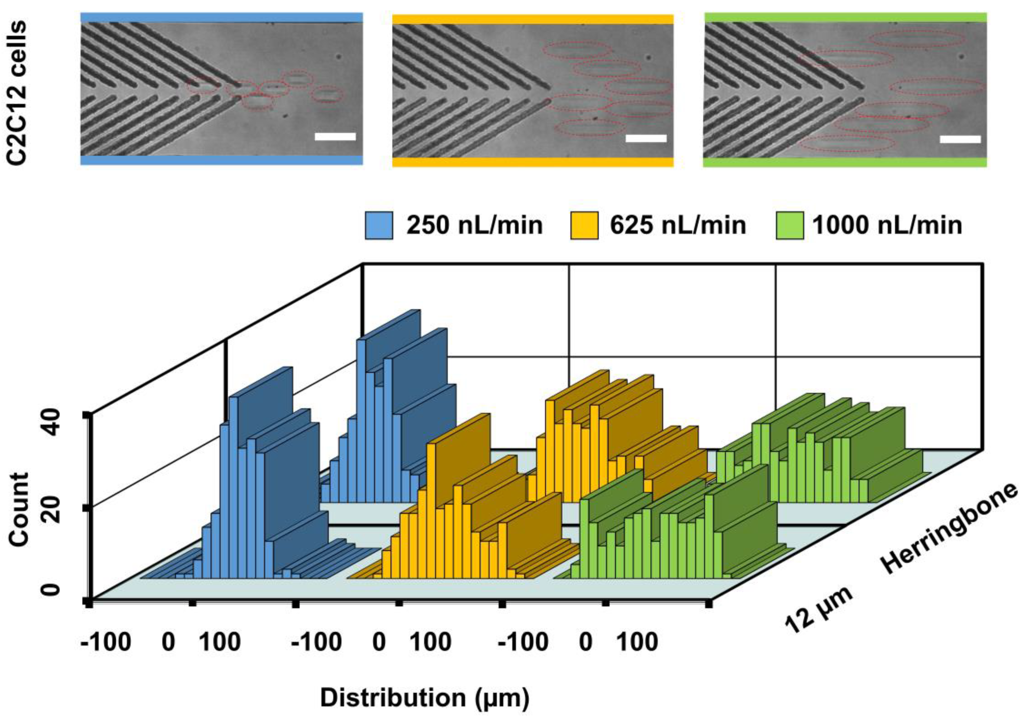 Biosensors 11 00263 g005