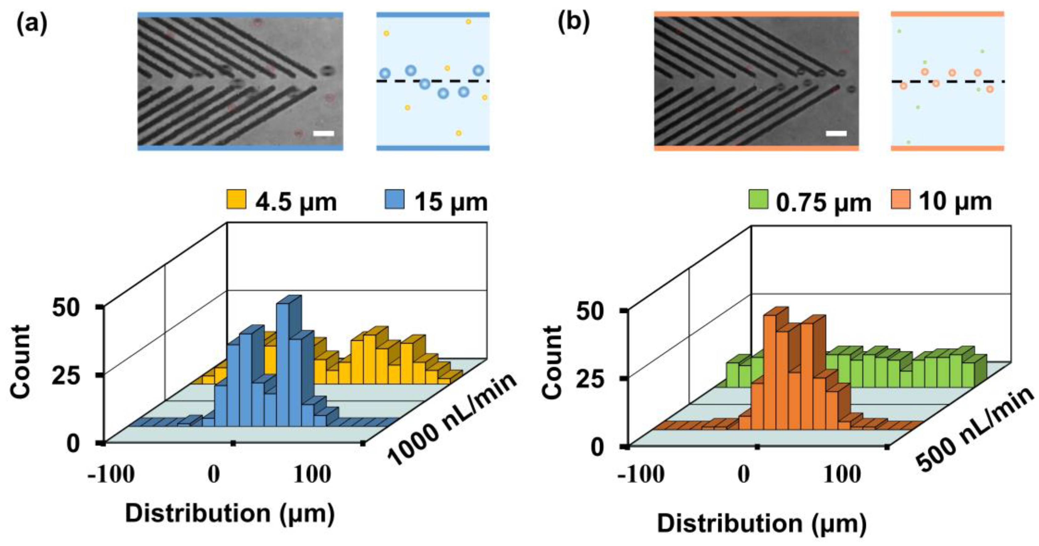 Biosensors 11 00263 g007