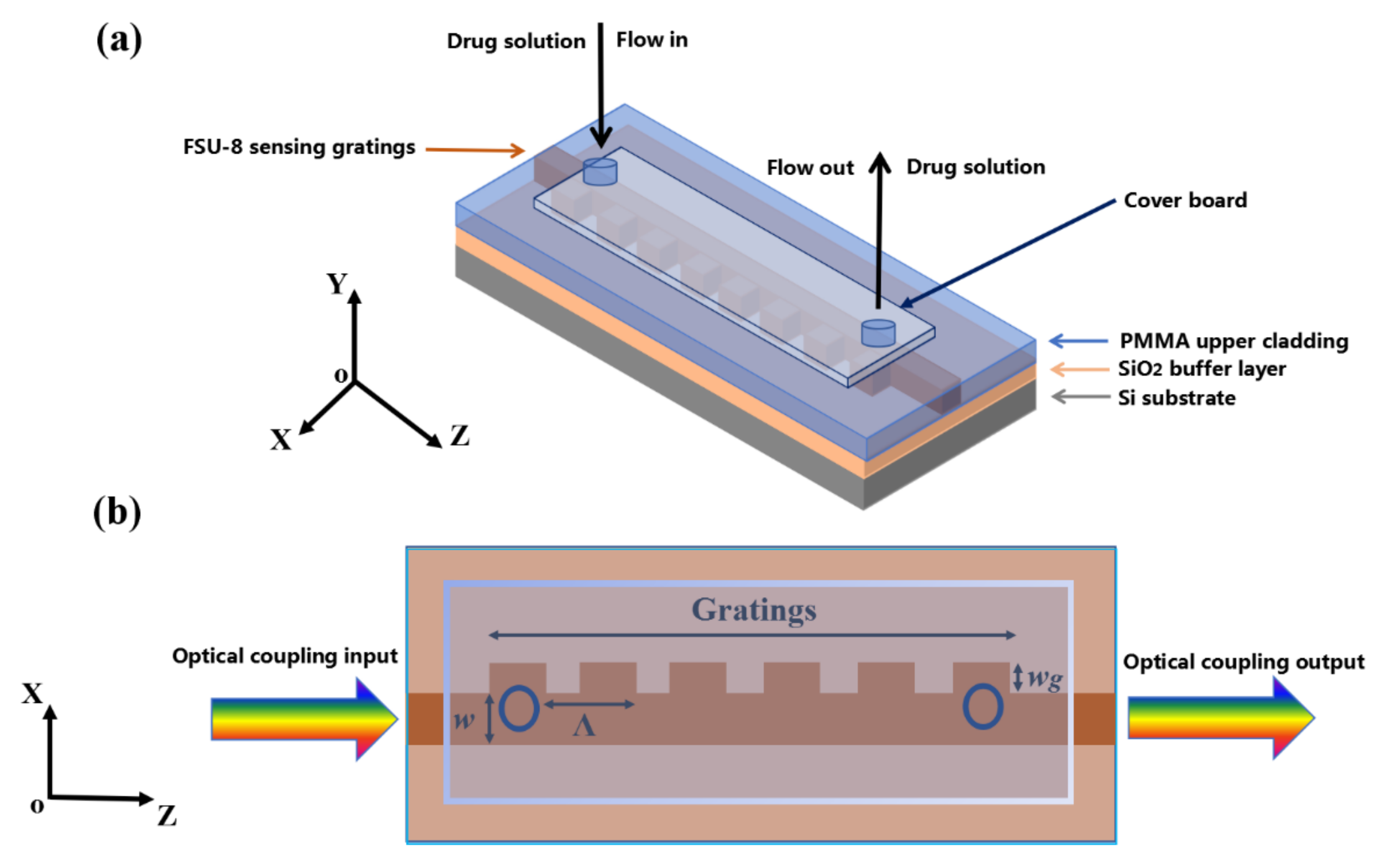 Biosensors 11 00264 g003