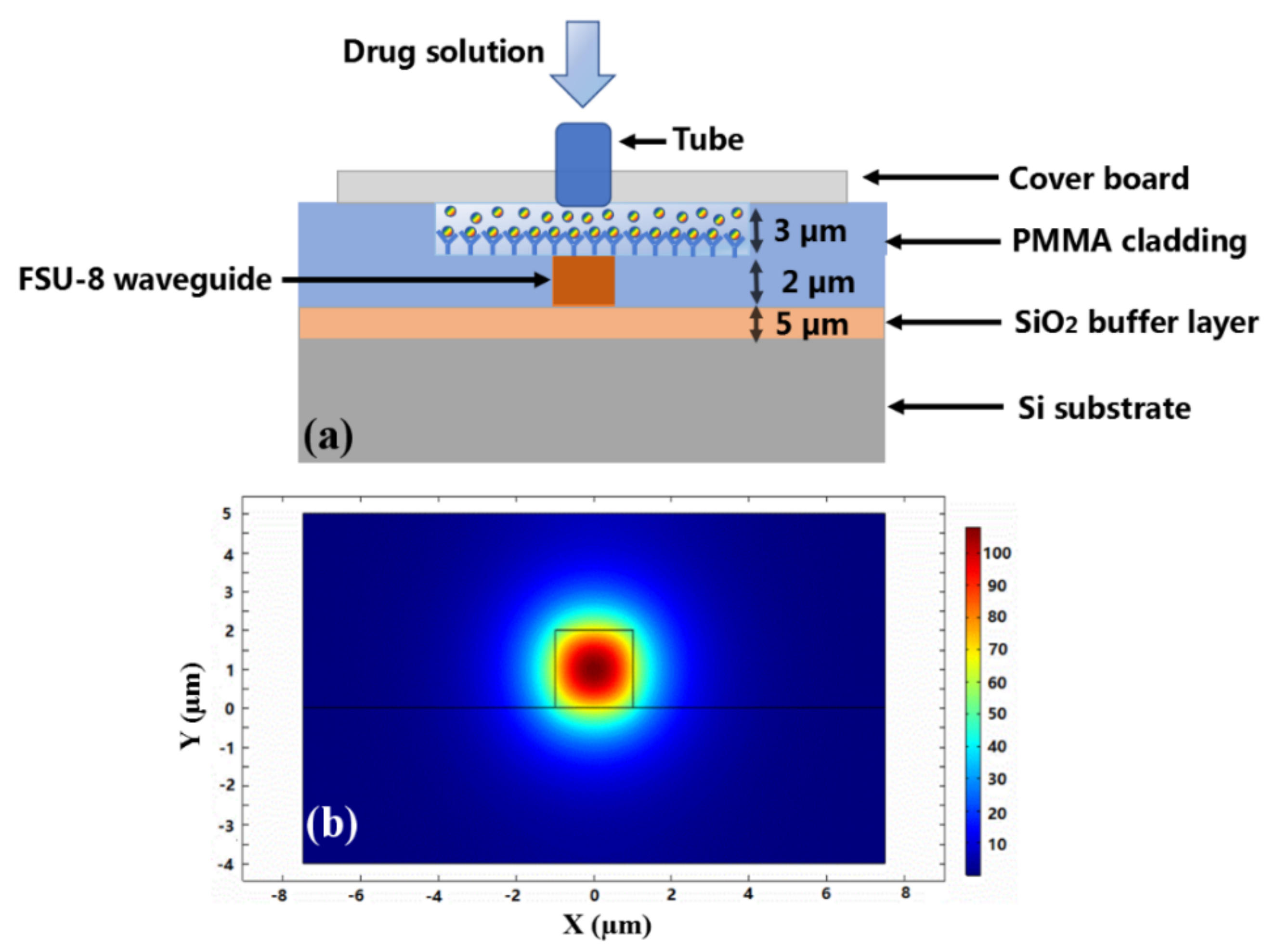 Biosensors 11 00264 g006