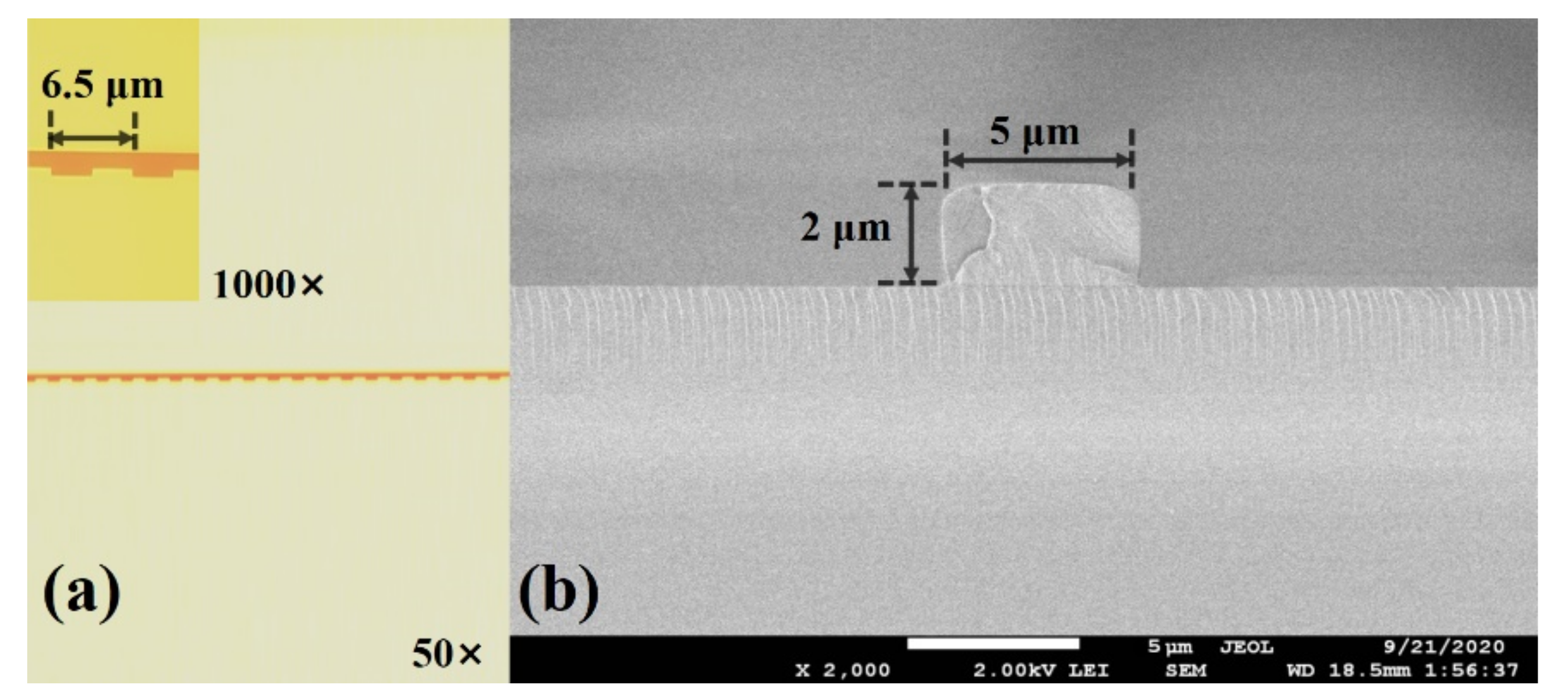 Biosensors 11 00264 g010