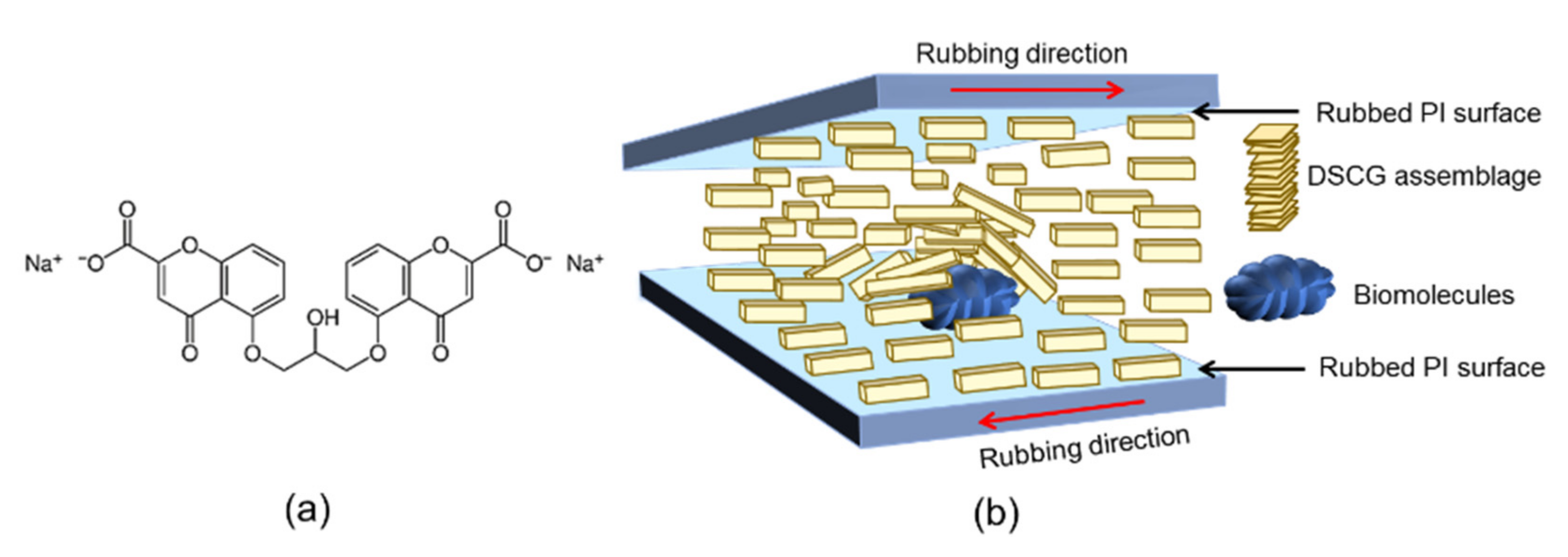 Biosensors 11 00271 g001