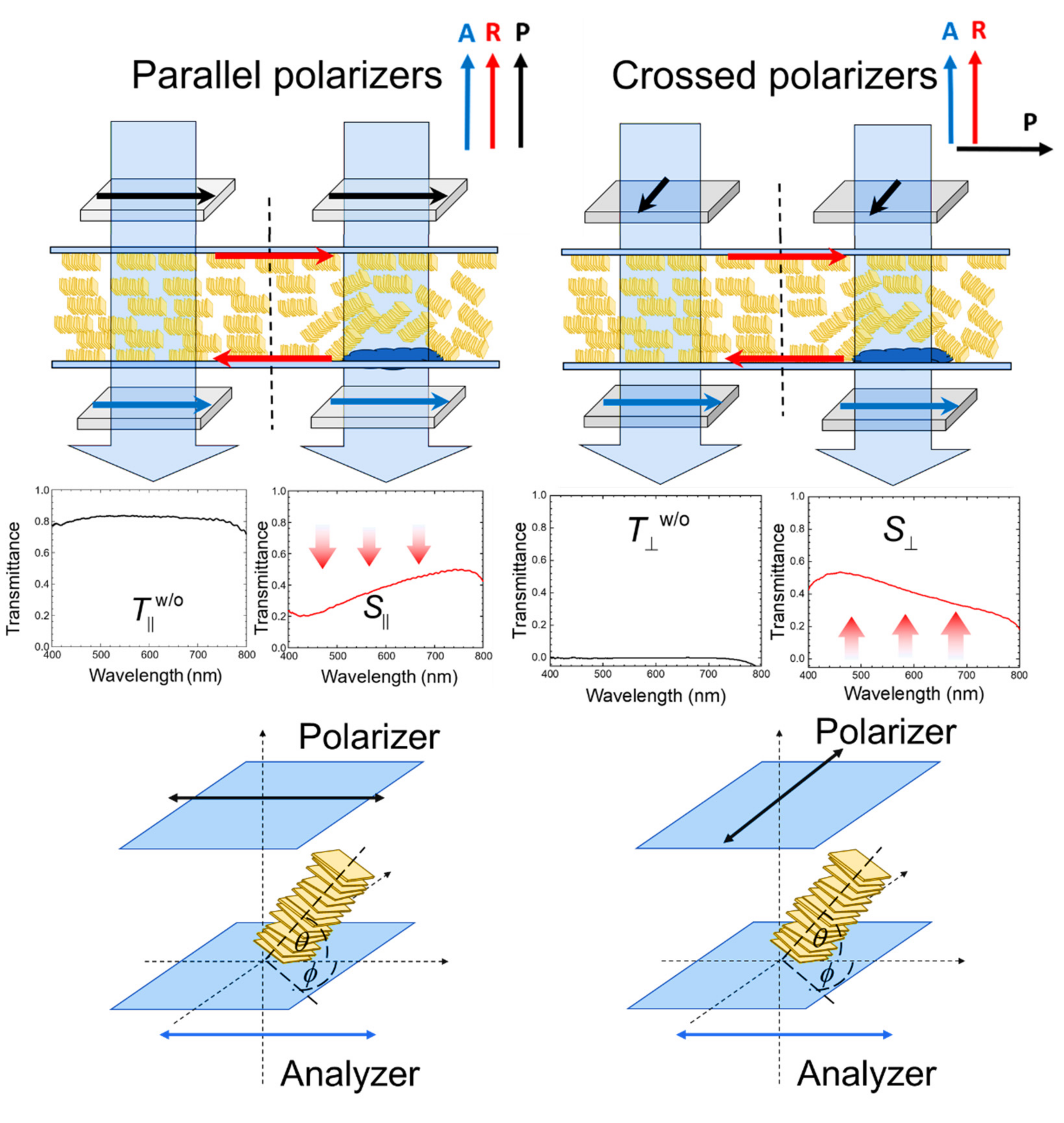 Biosensors 11 00271 g003