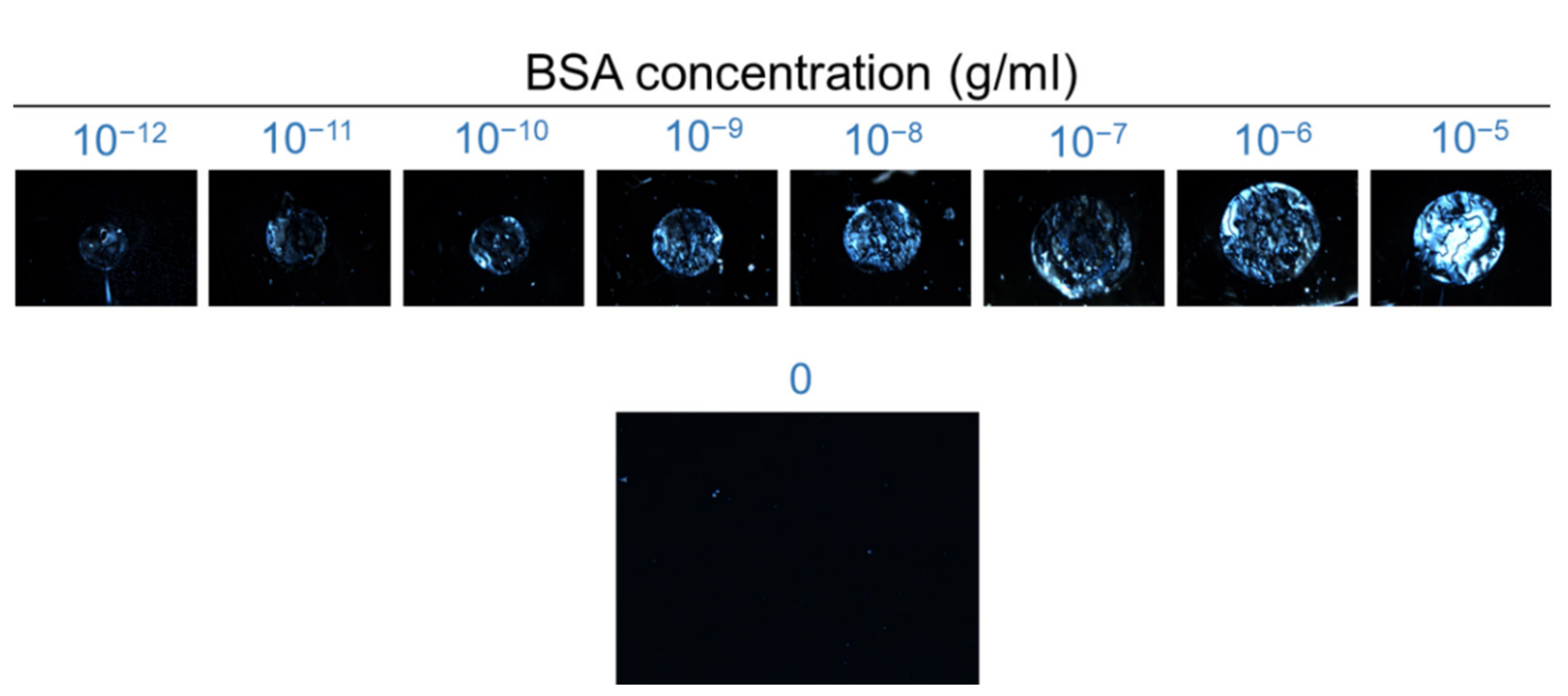 Biosensors 11 00271 g004