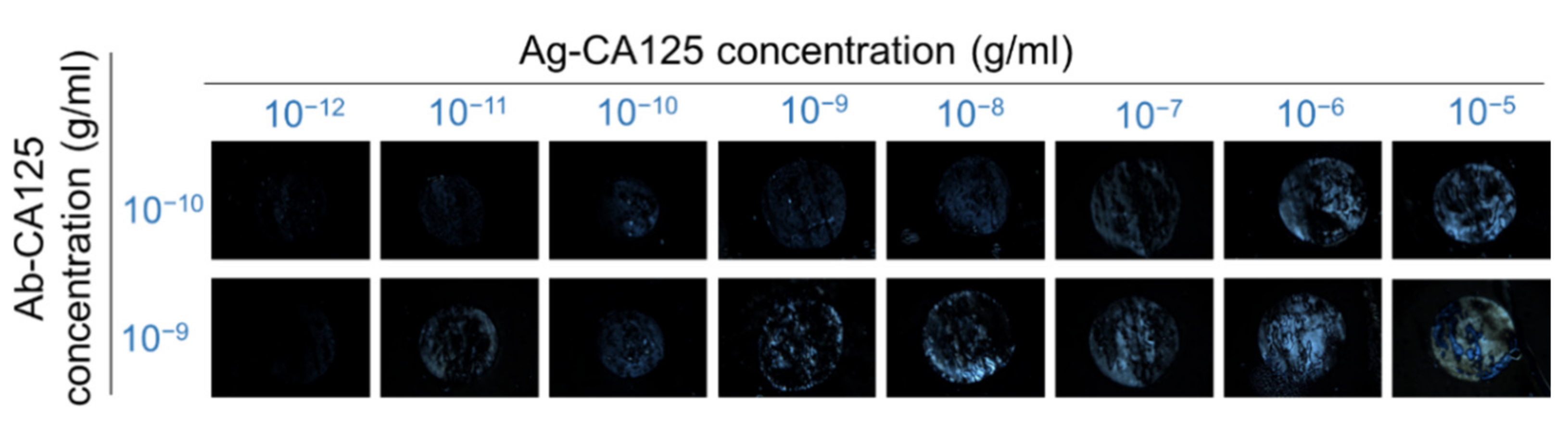 Biosensors 11 00271 g009