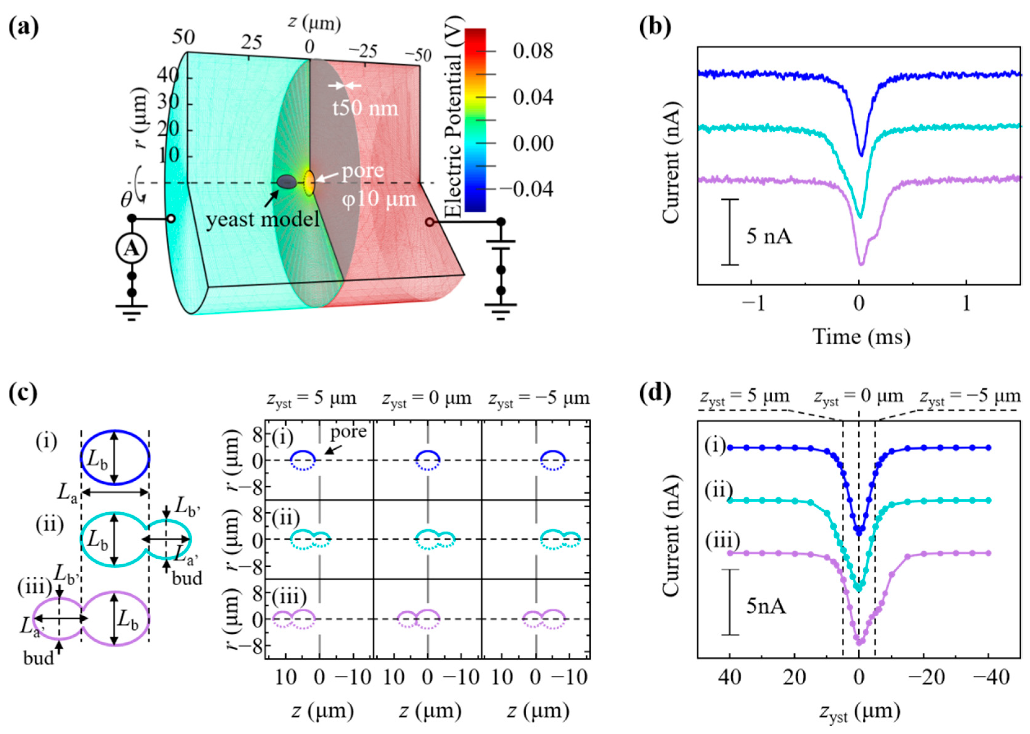 Biosensors 11 00272 g004