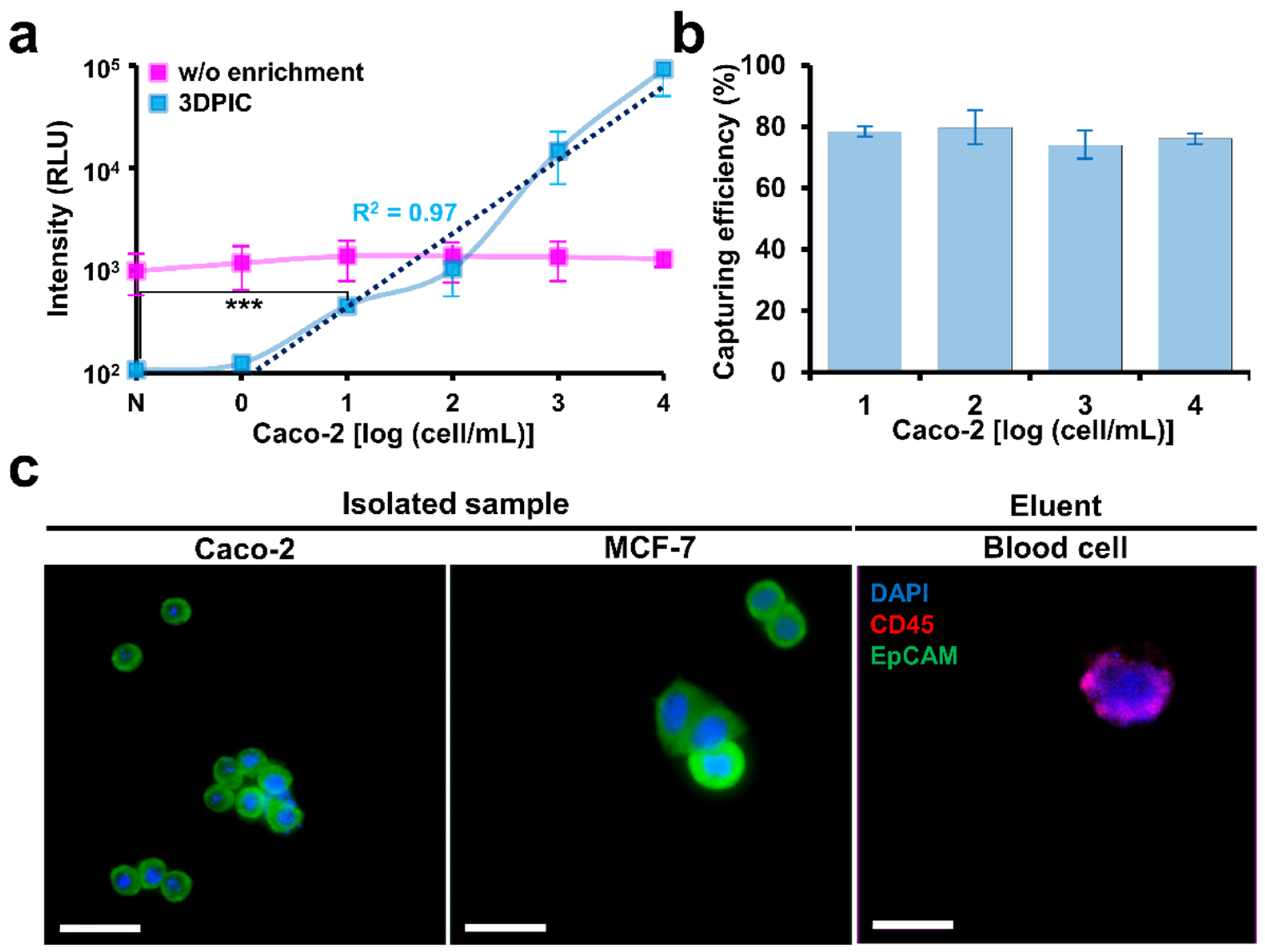 Biosensors 11 00278 g005