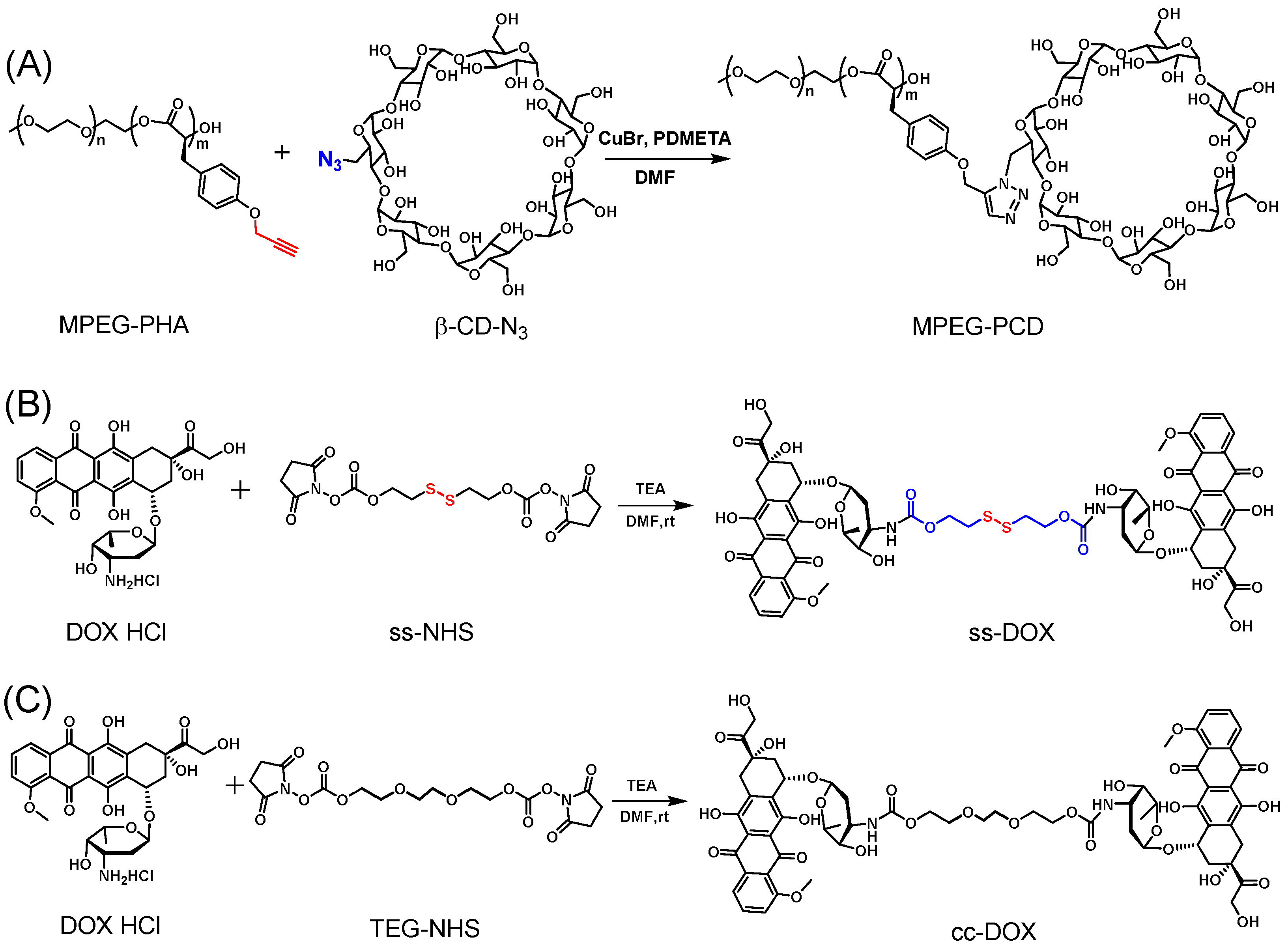 Biosensors 11 00306 g001