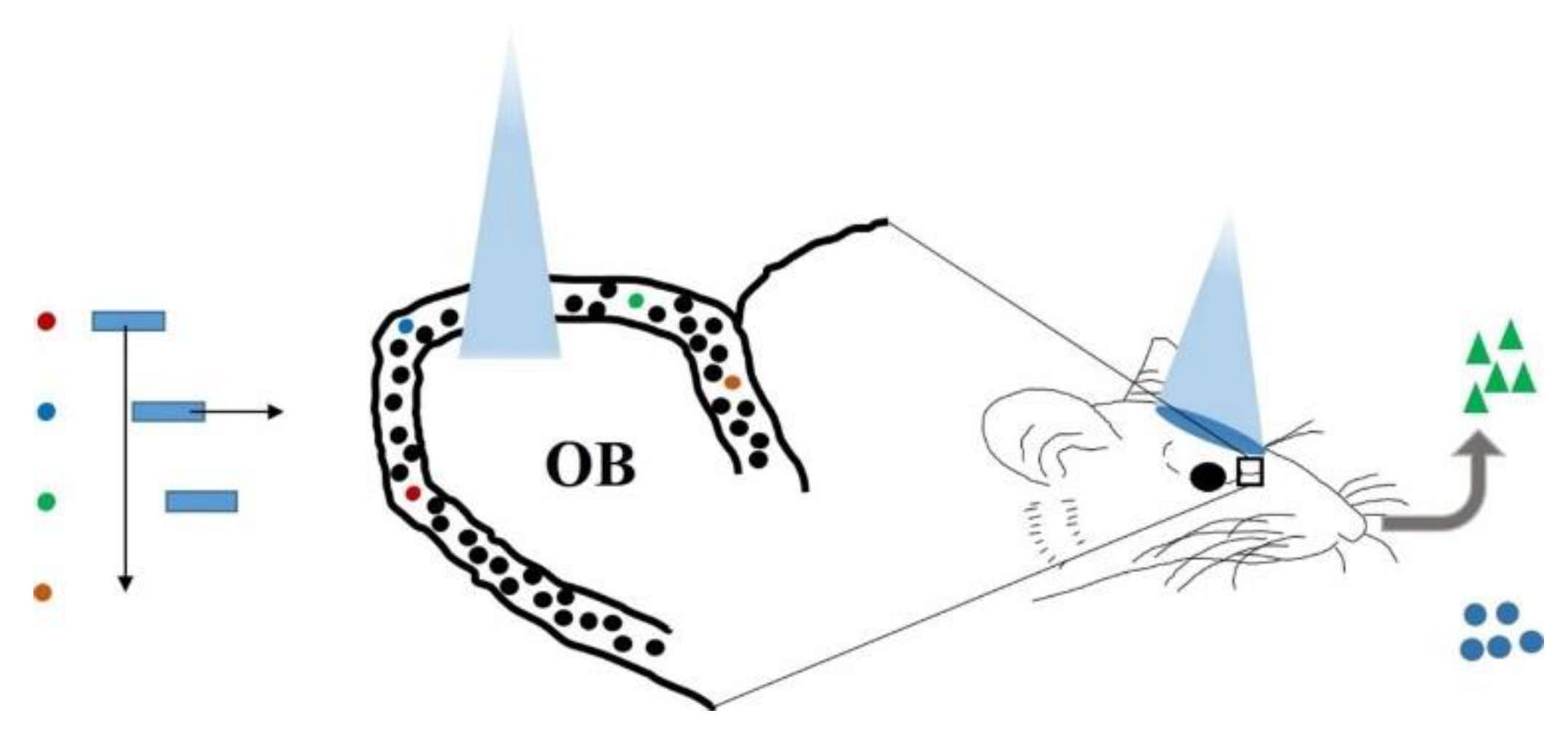 Biosensors 11 00309 g002