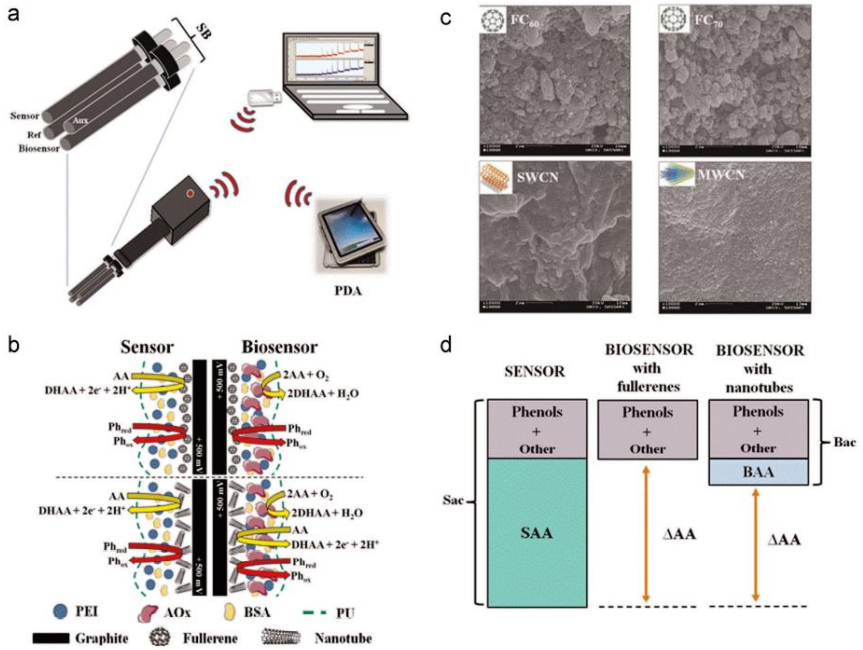 Biosensors 11 00336 g002