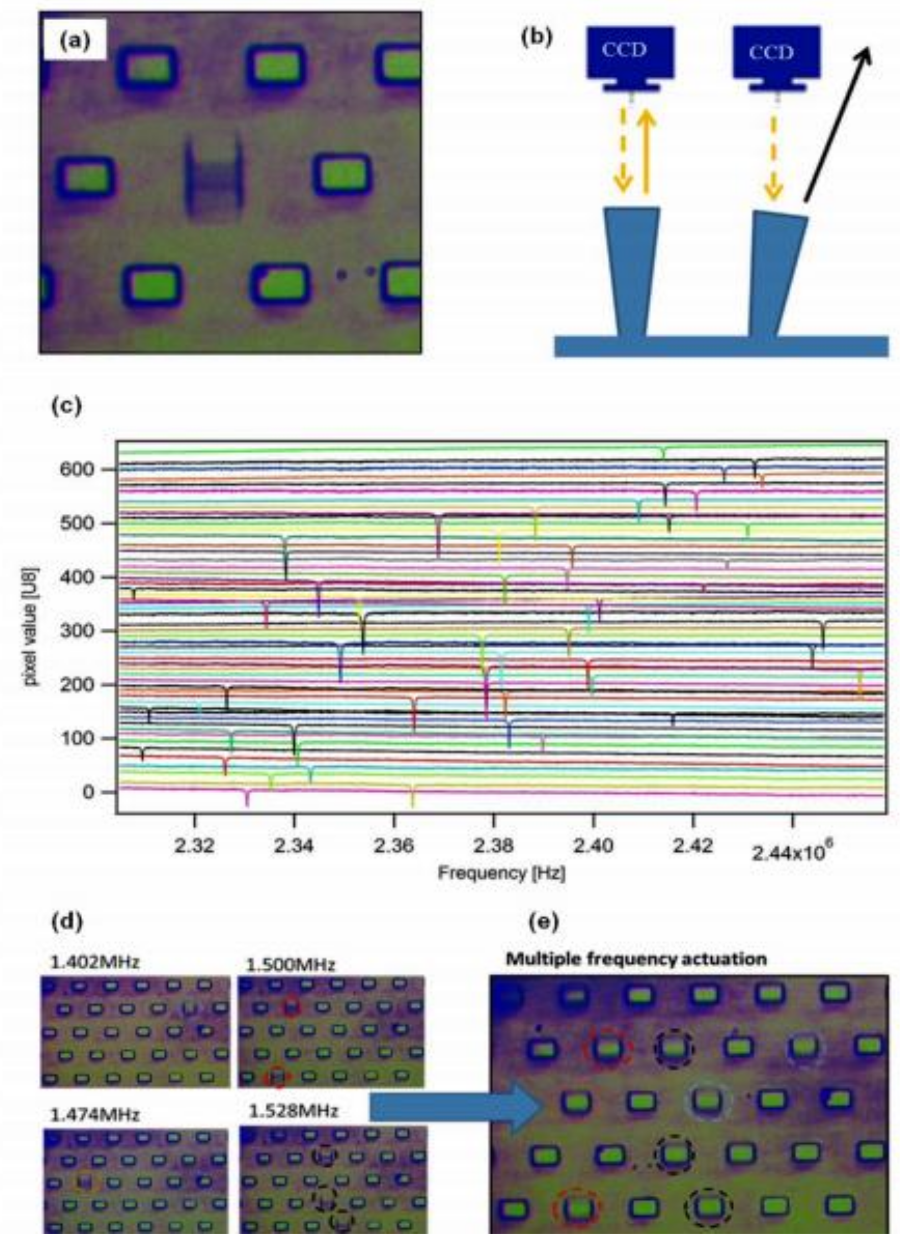 Biosensors 11 00336 g003